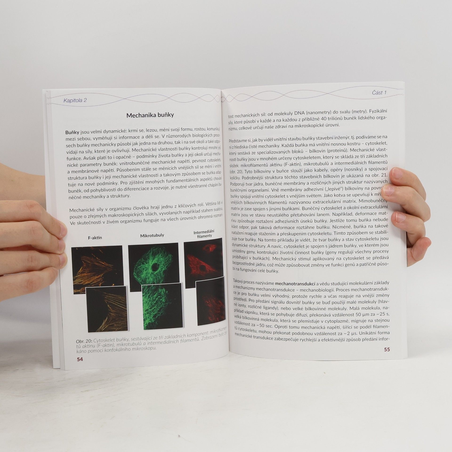 Kolektív autorov Biologie a magnetismus. Vzájemná přitažlivost