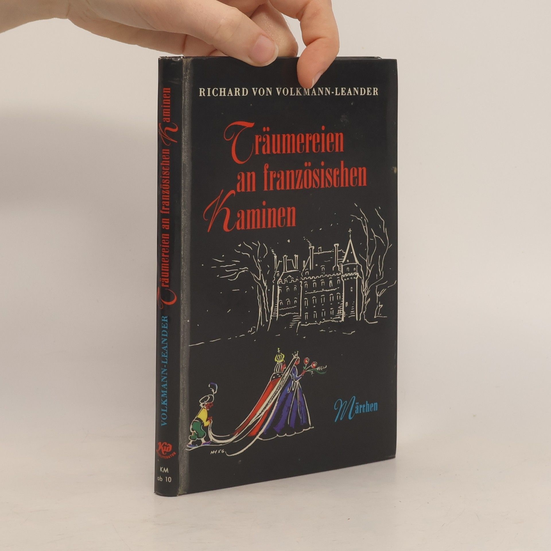 Träumereien an französischen Kaminen