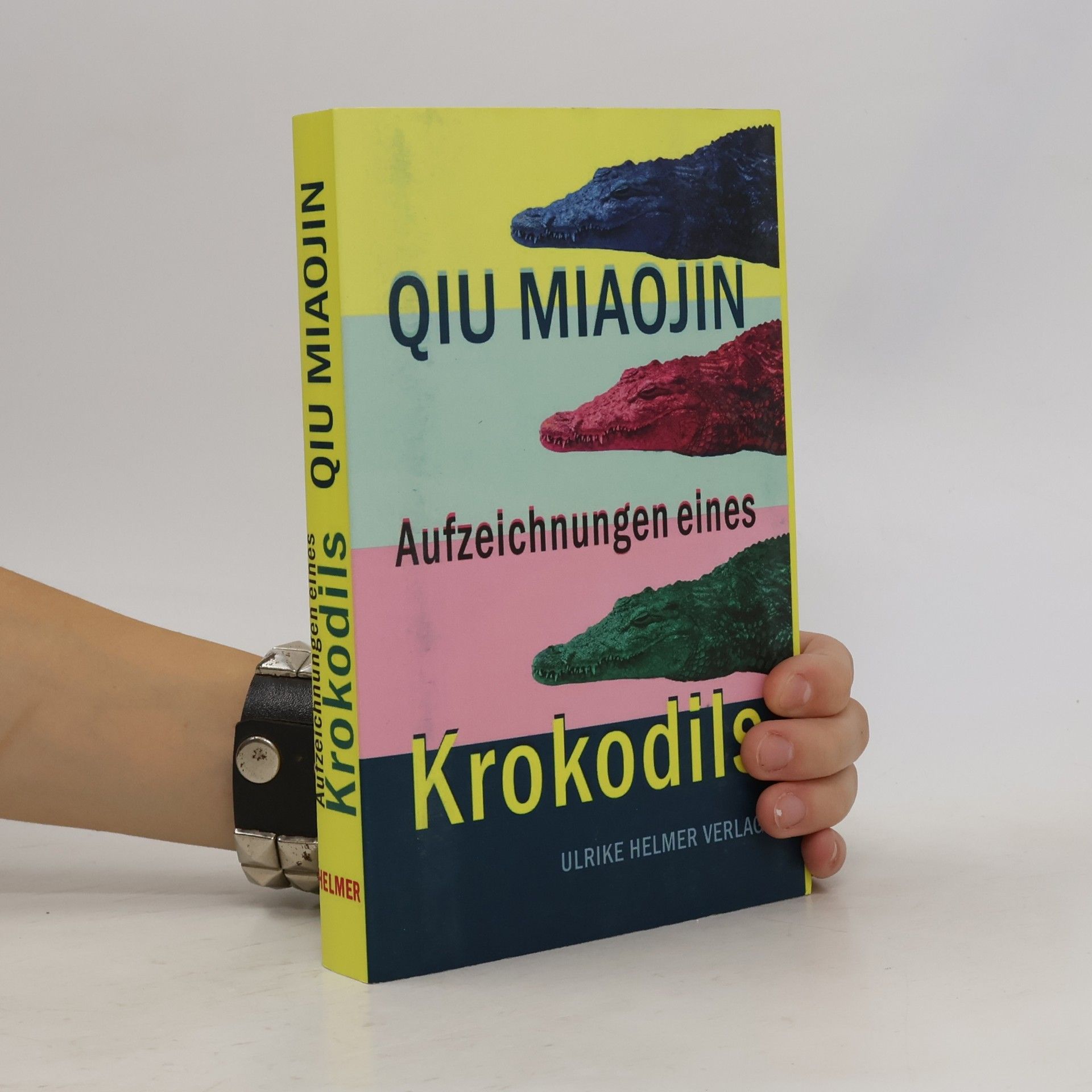 Miaojin Qiu Aufzeichnungen eines Krokodils