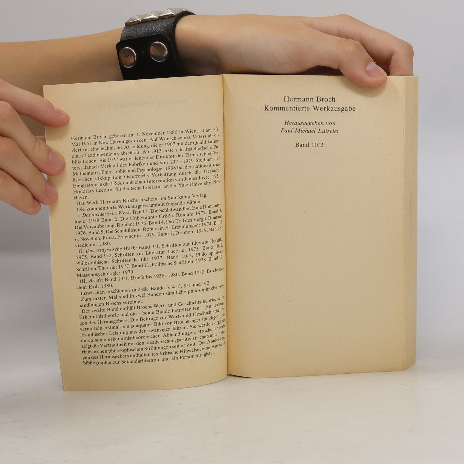 Hermann Broch Philosophische Schriften 2. Theorie