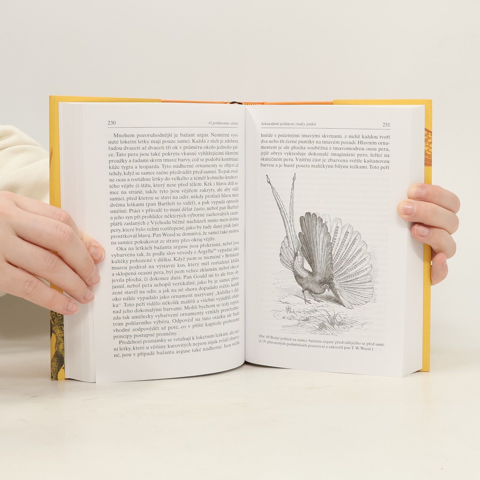 Charles Darwin O pohlavním výběru