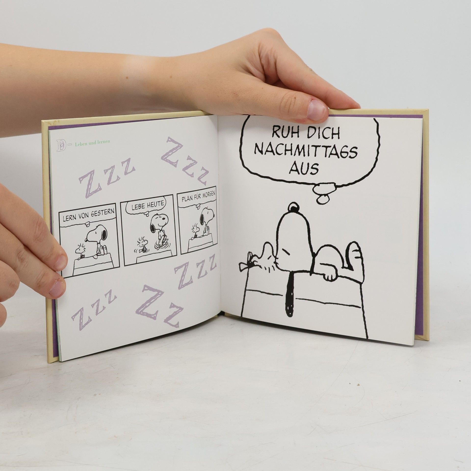 Charles Monroe Schulz Peanuts, Die Geheimnisse ihres Lebens