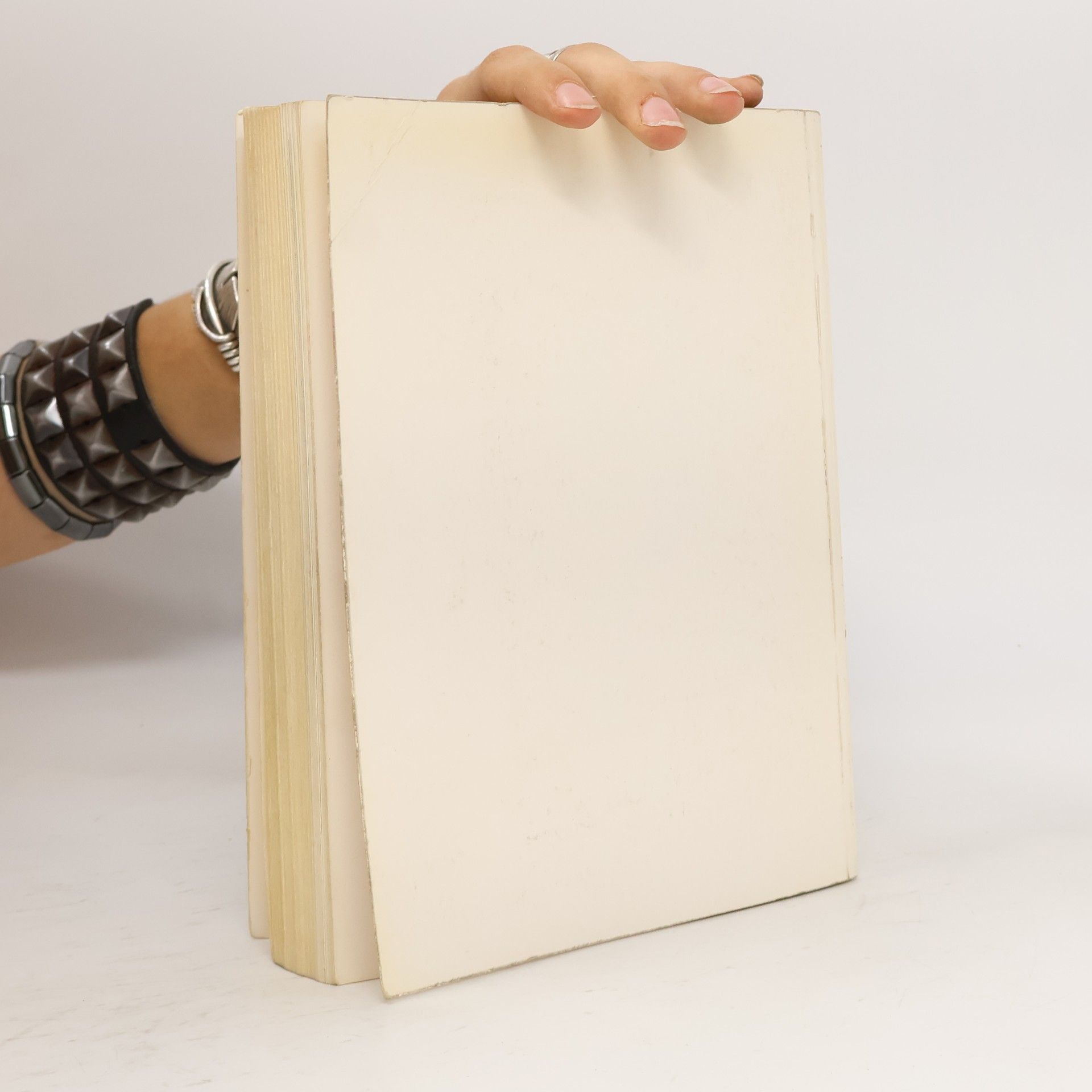 Autorenkollektiv Kunstschätze aus Iran