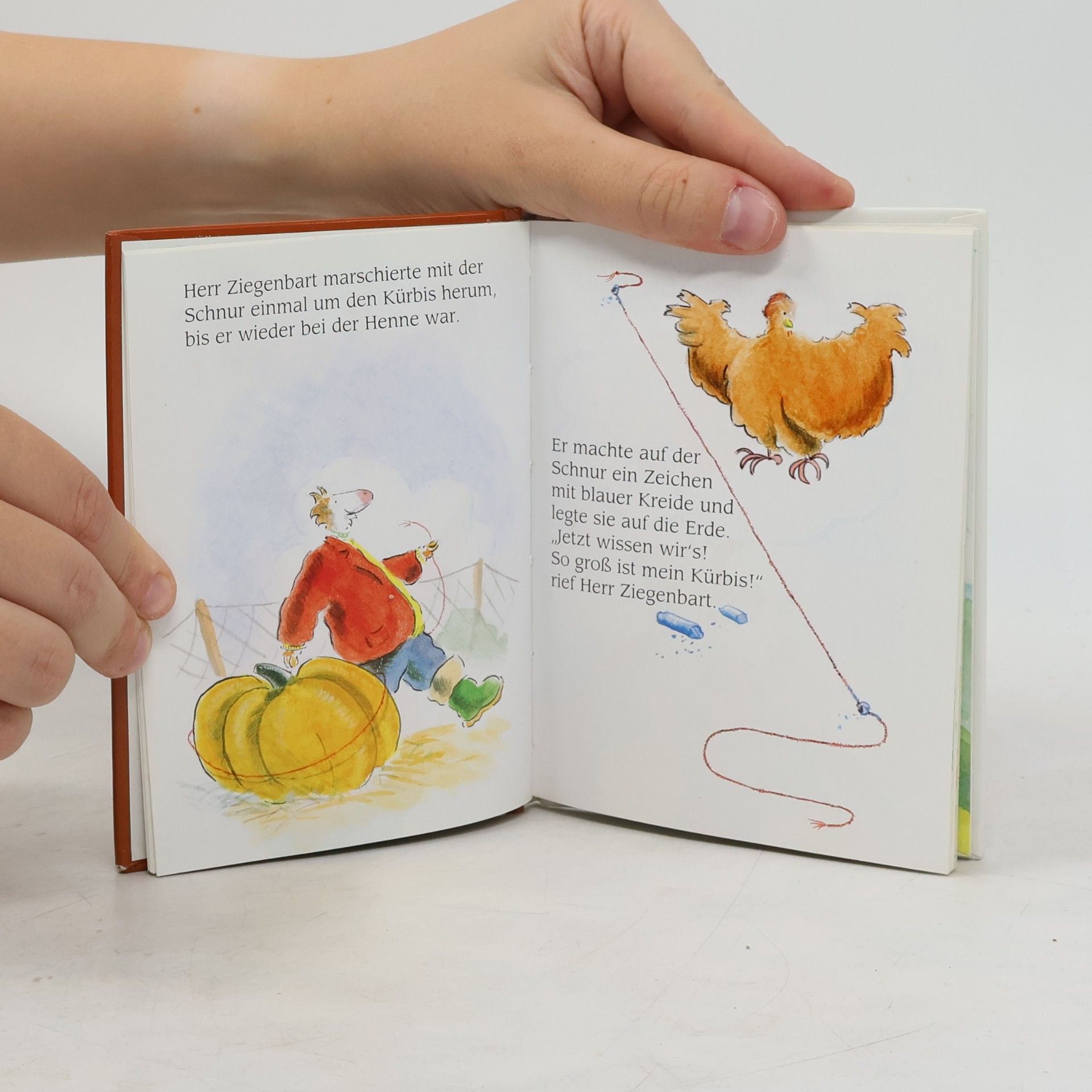 Autorenkollektiv Herrn Ziegenbarts Riesenkürbis