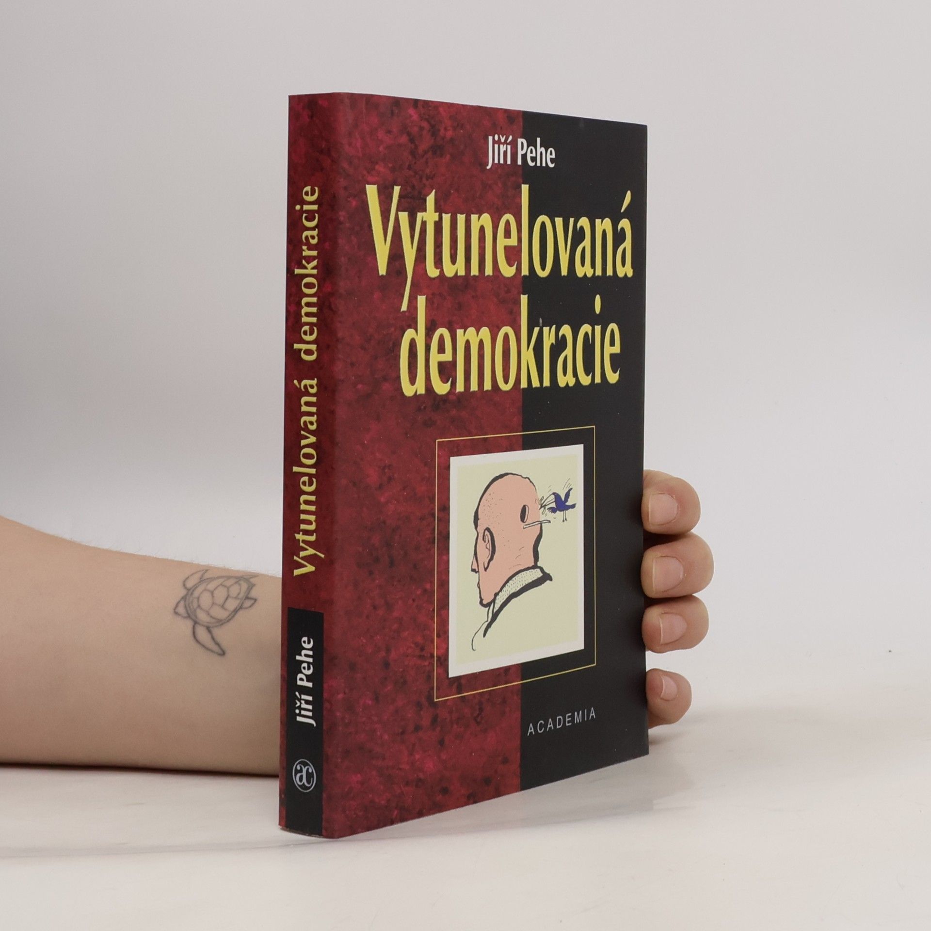 Vytunelovaná demokracie