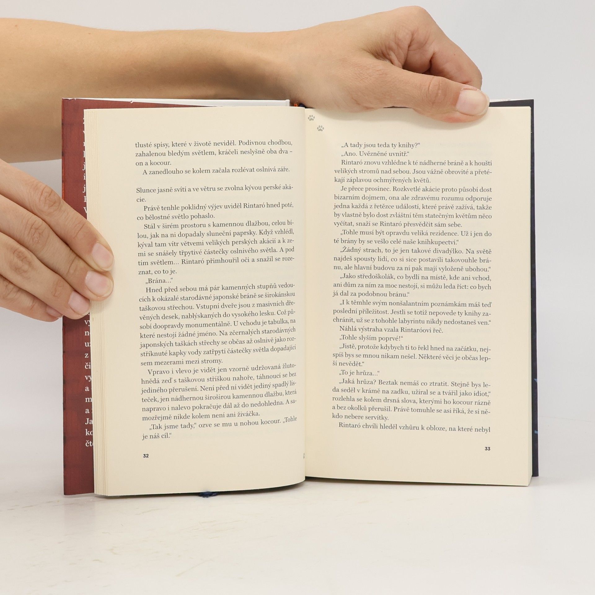 Sōsuke Natsukawa Kocour, který zachraňoval knihy