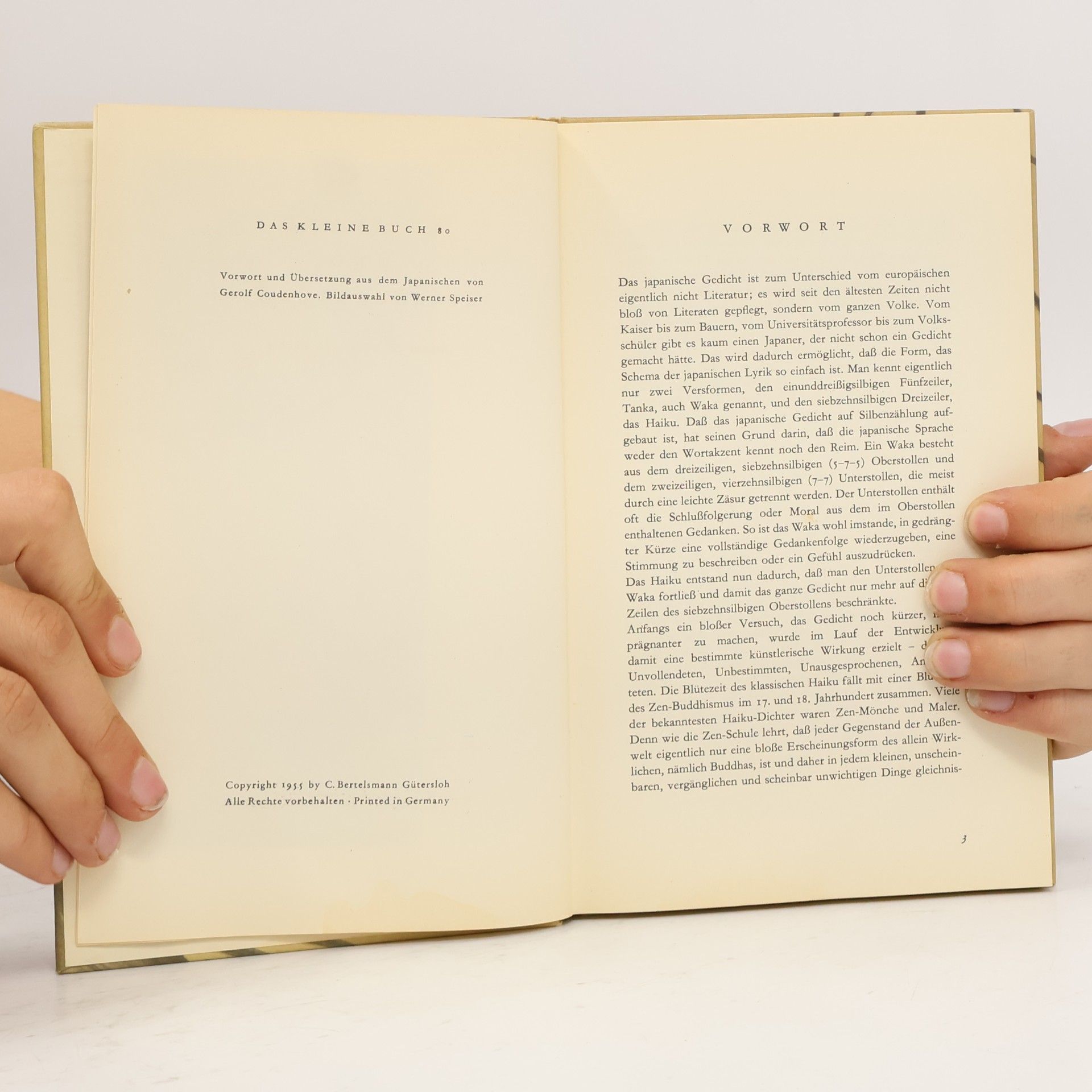 Autorenkollektiv Vollmond und Zikadenklänge