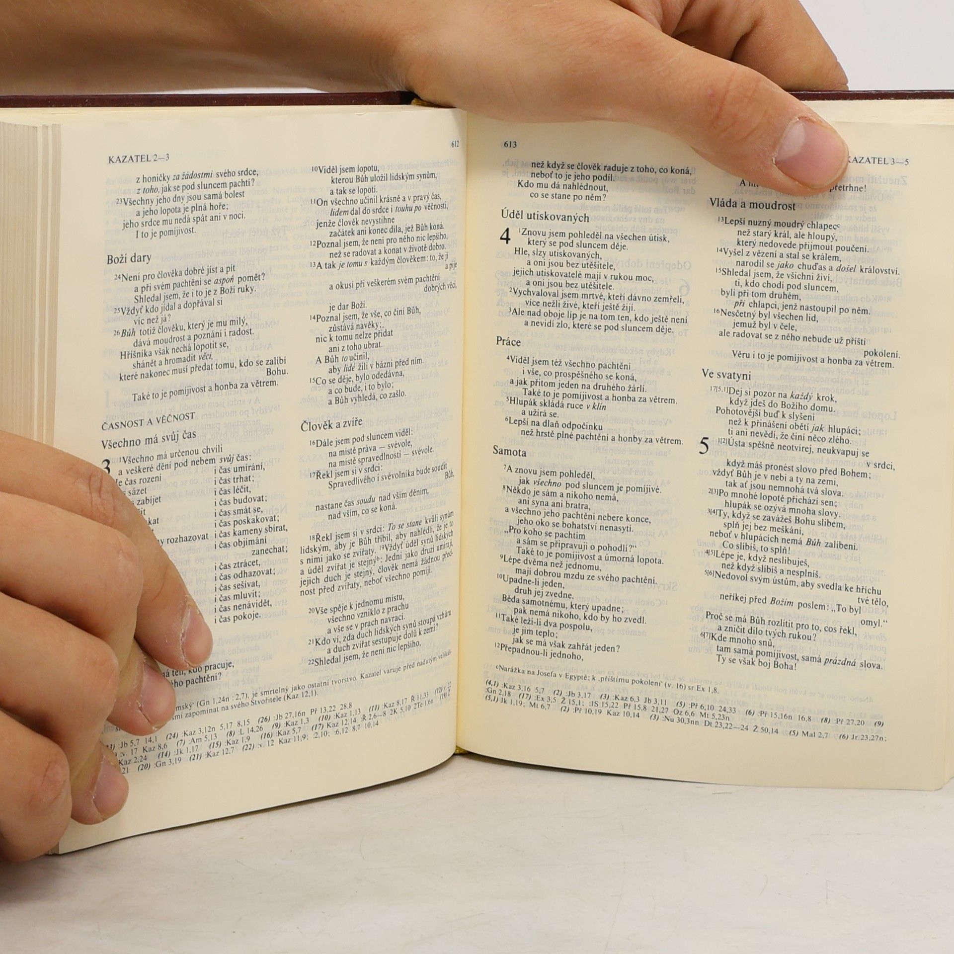 Autorenkollektiv Bible. Písmo svaté Starého a Nového zákona (včetně deuterokanonických knih) : Český ekumenický překlad