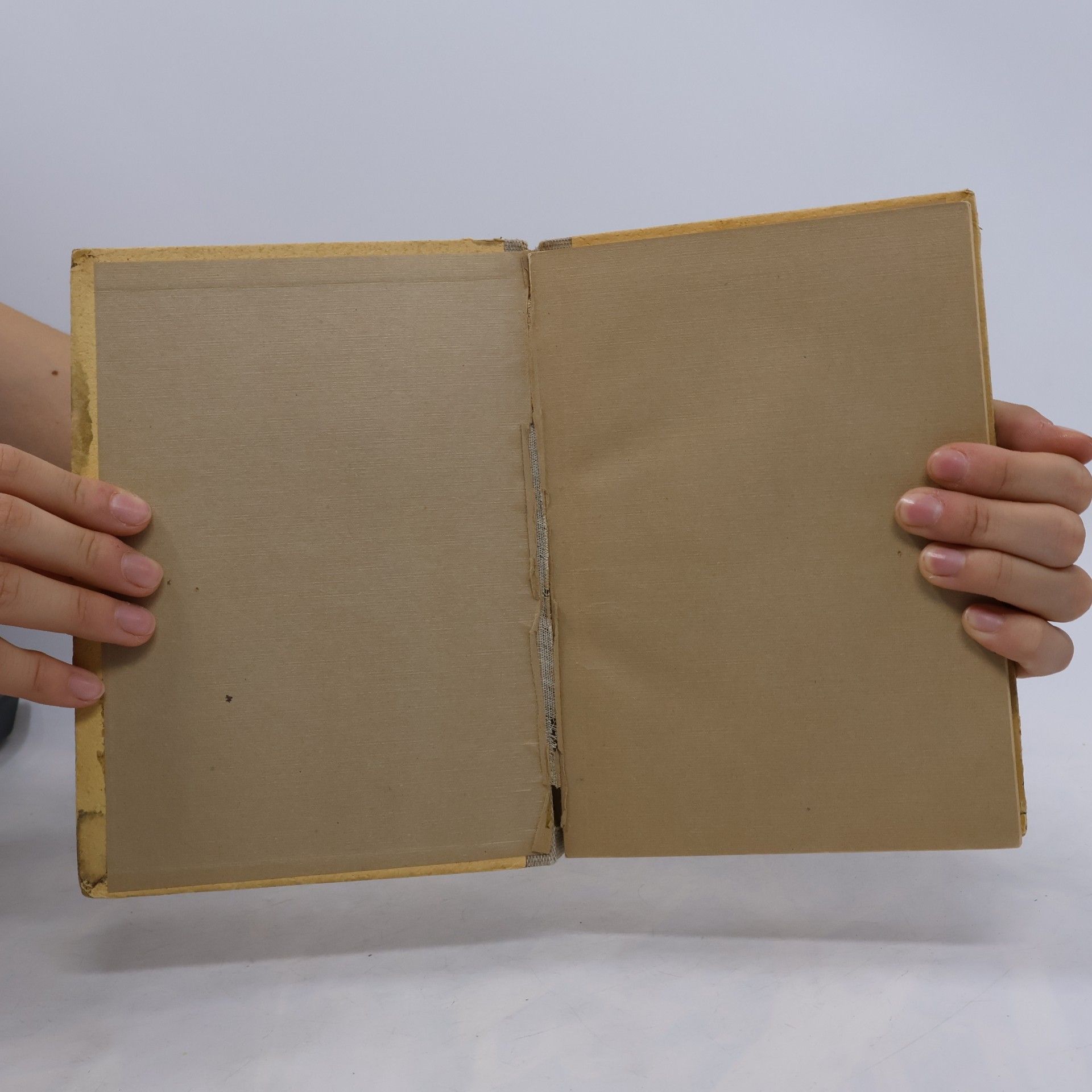 Ot. Z. Hanish Intimní studie