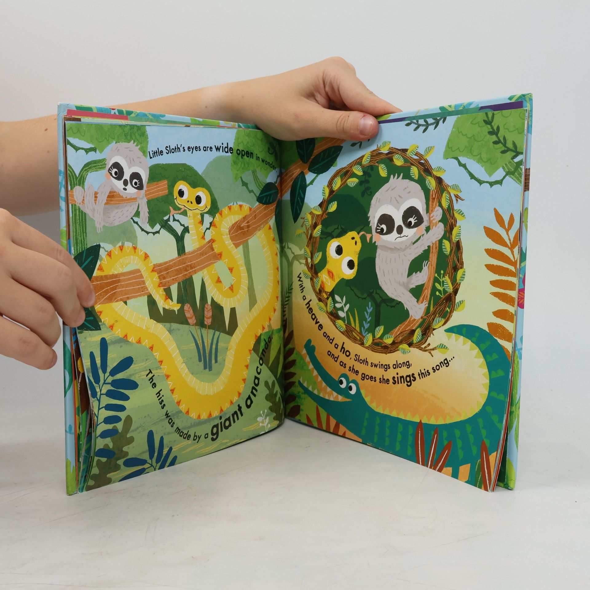 Jane Riordan I Am Not A Sleepy Sloth