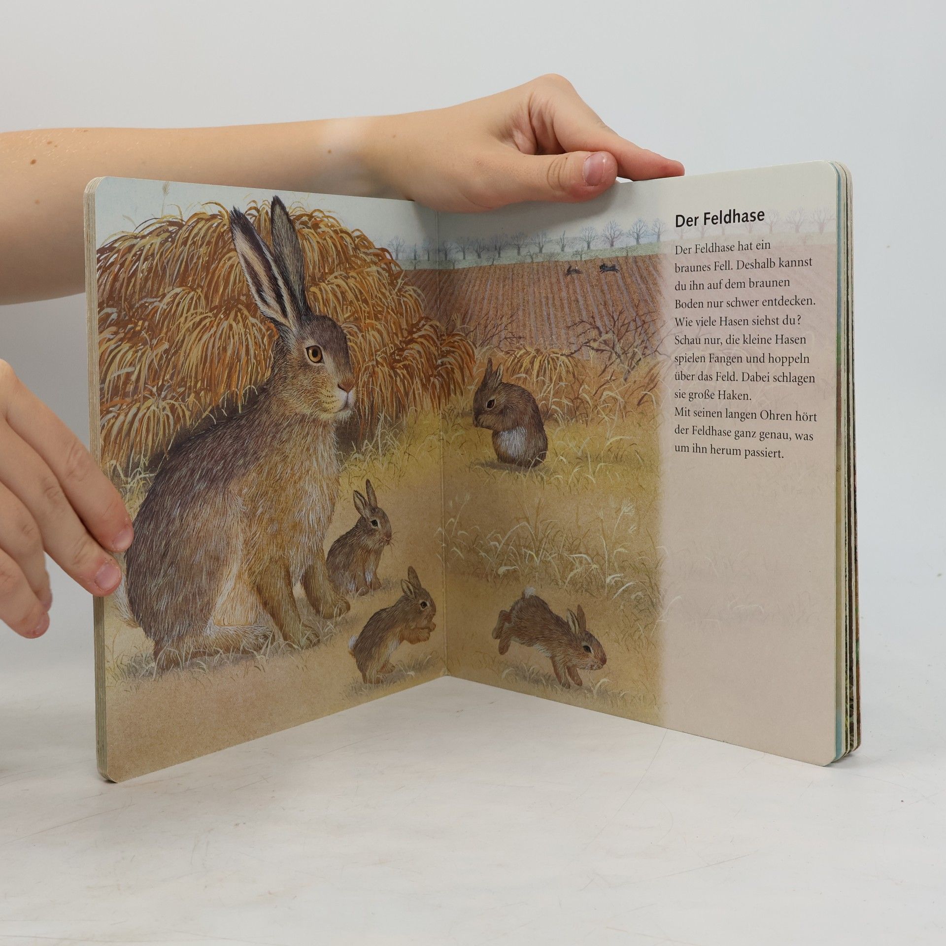 Mein liebstes Tierbilderbuch