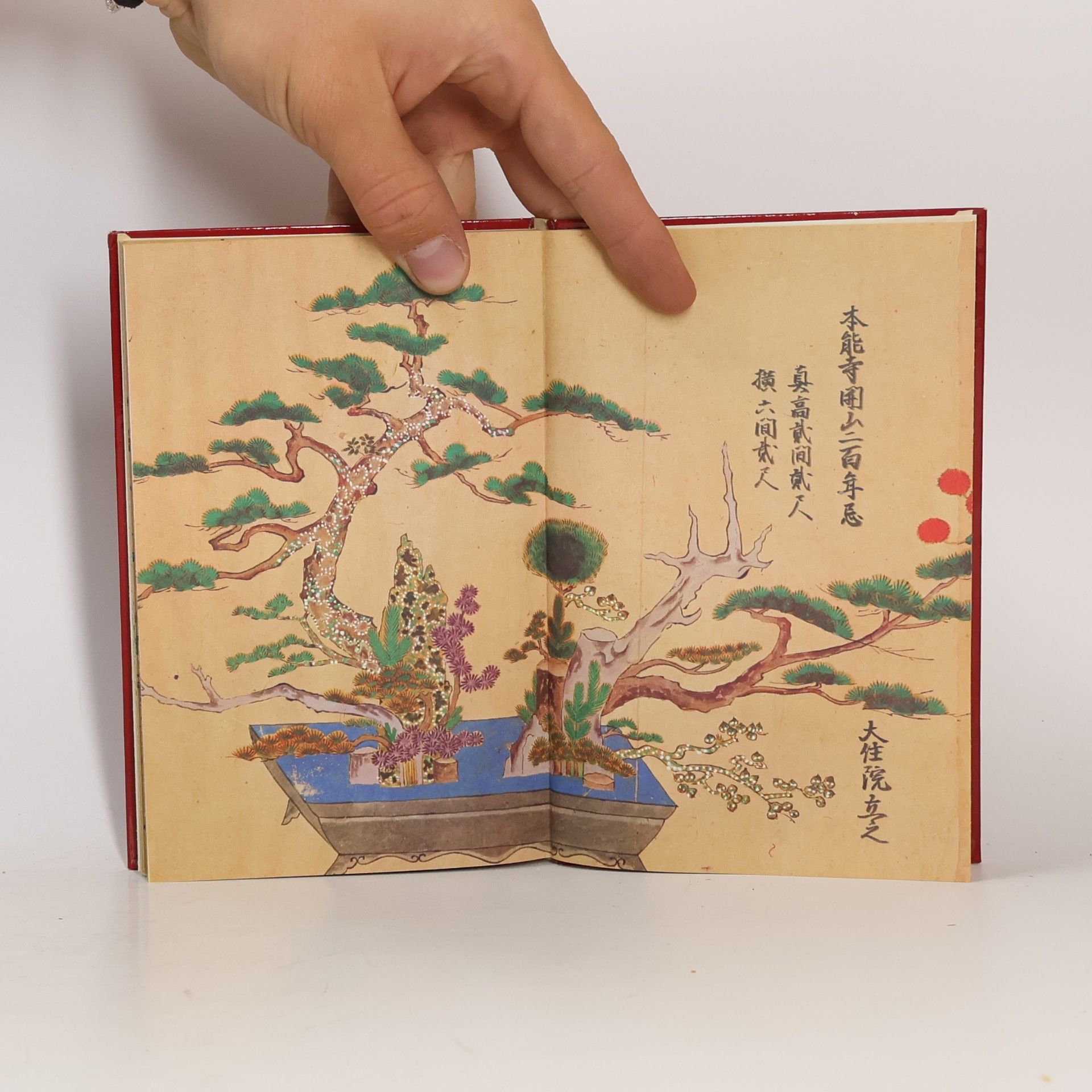 Kikou Yamata Altjapanisches Blumenbuch