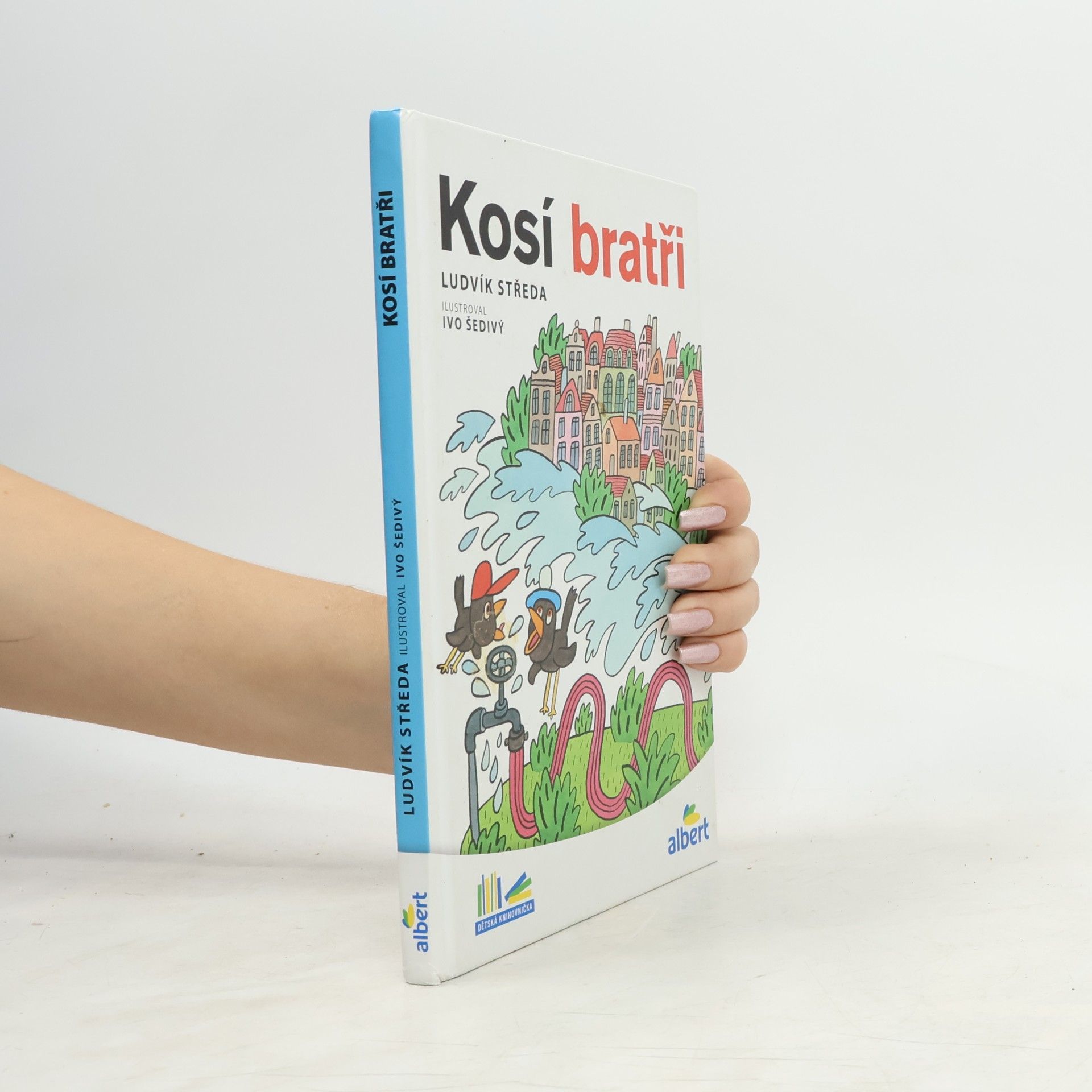 Ludvík Středa Kosí bratři