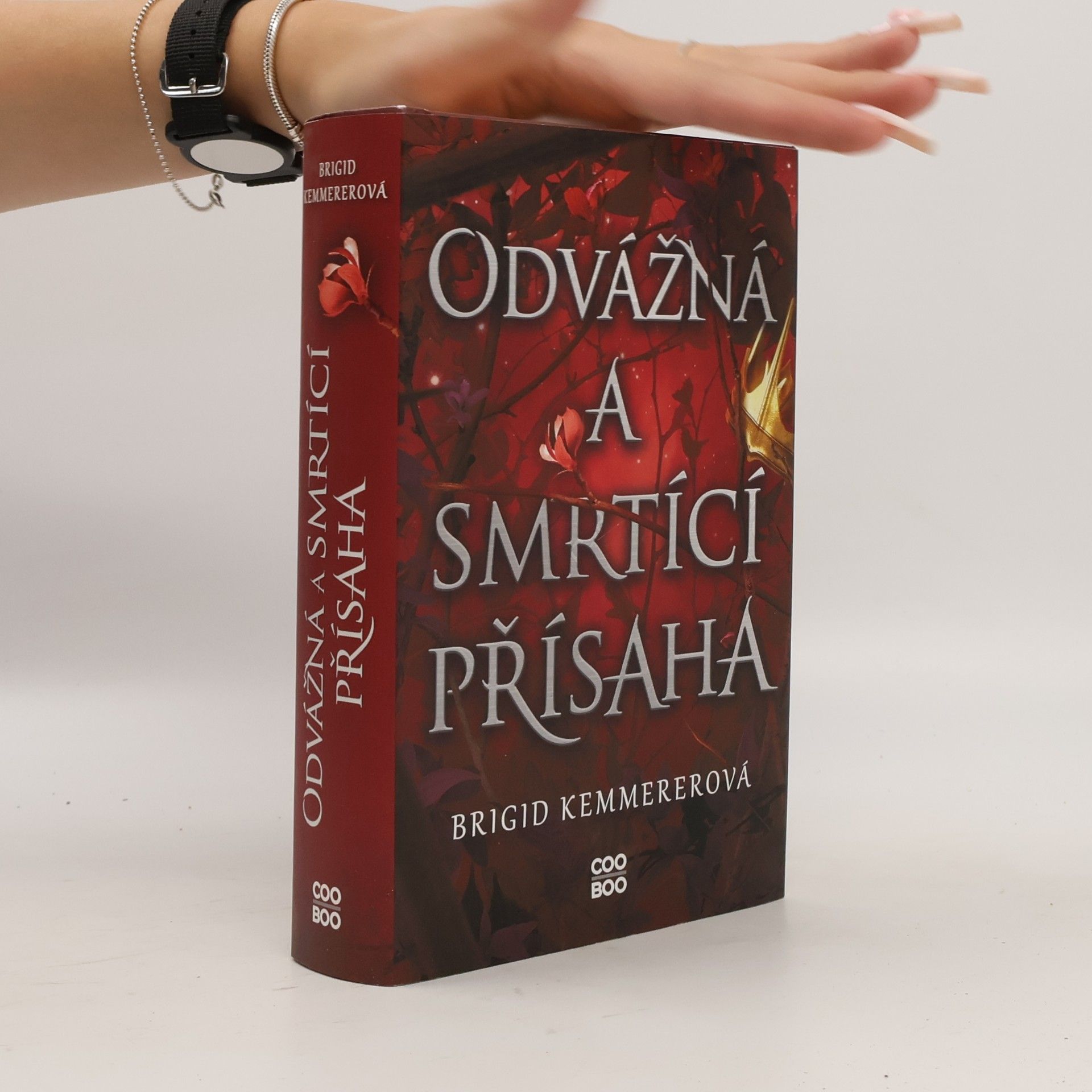 Brigid Kemmerer Odvážná a smrtící přísaha