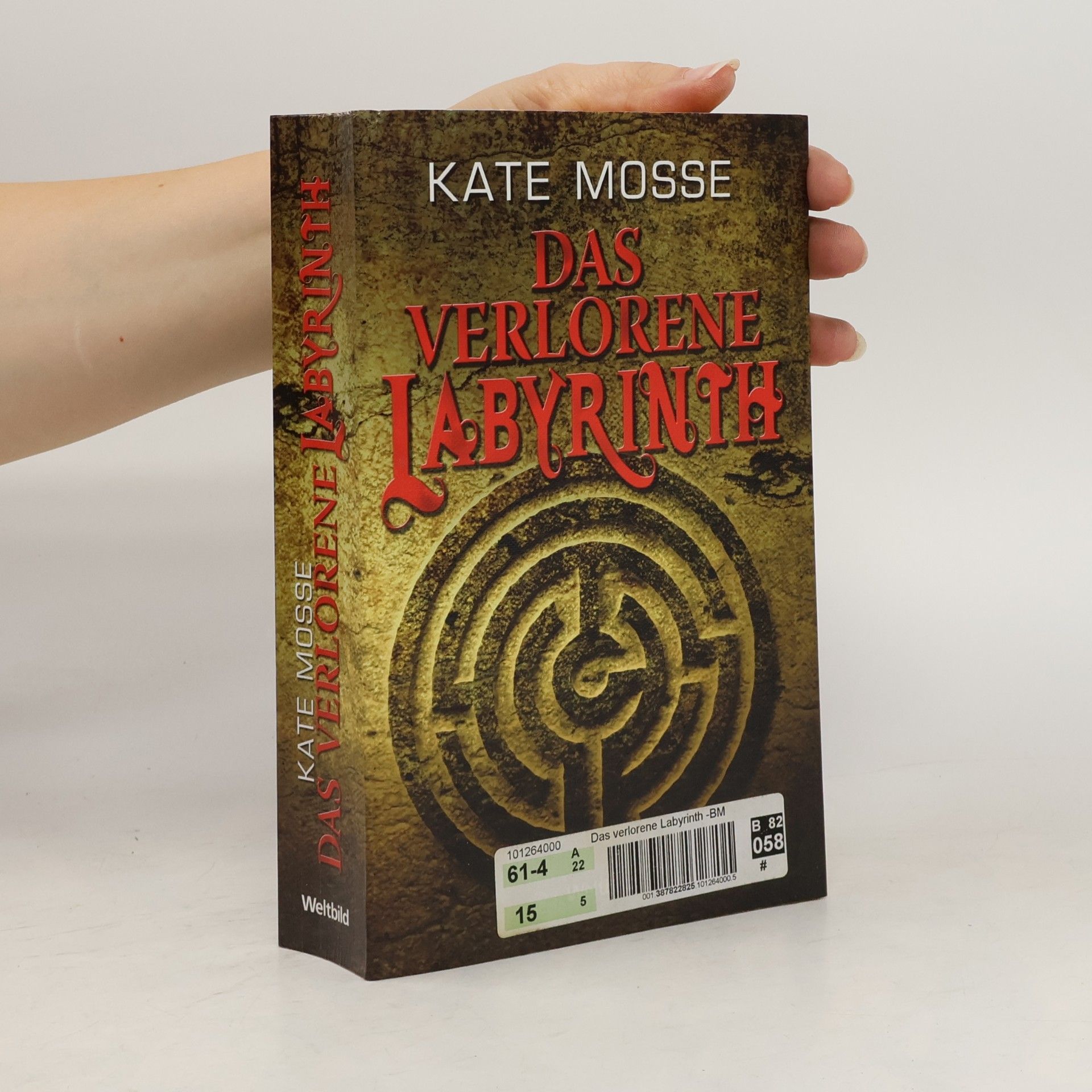 Kate Mosse Das verlorene Labyrinth