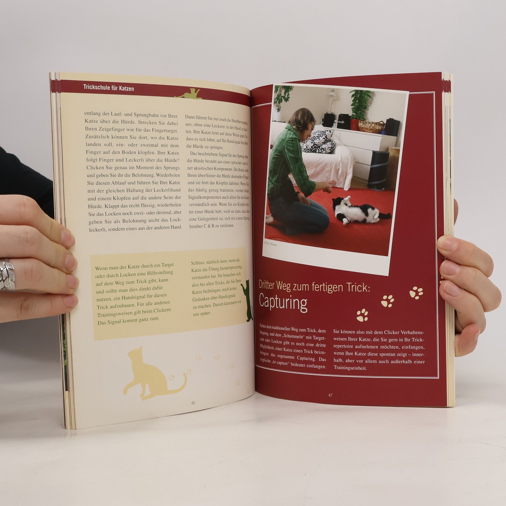 Christine Hauschild Trickschule für Katzen