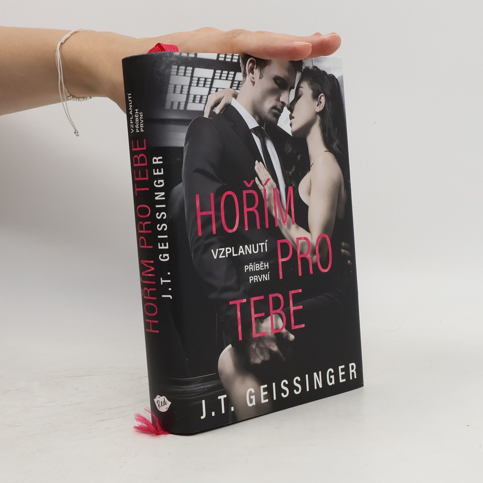 J. T. Geissinger Hořím pro tebe. Příběh první, Vzplanutí