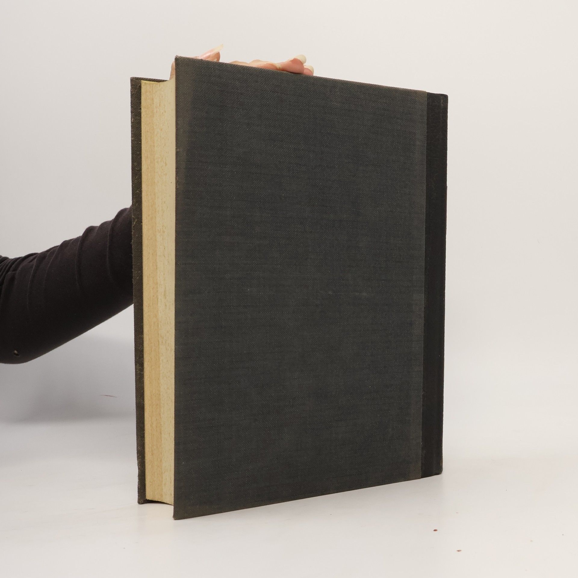 H. Härtel Propyläen Kunst Geschichte 16. Indien und Südostasien