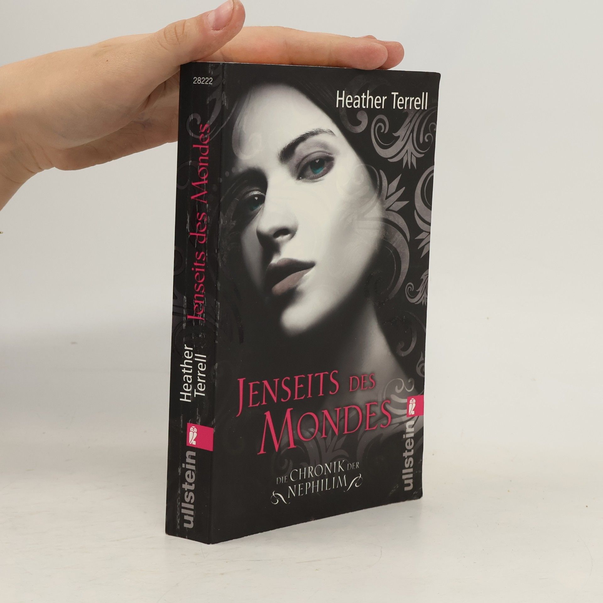 Heather Terrell Jenseits des Mondes. Die Chronik der Nephilim