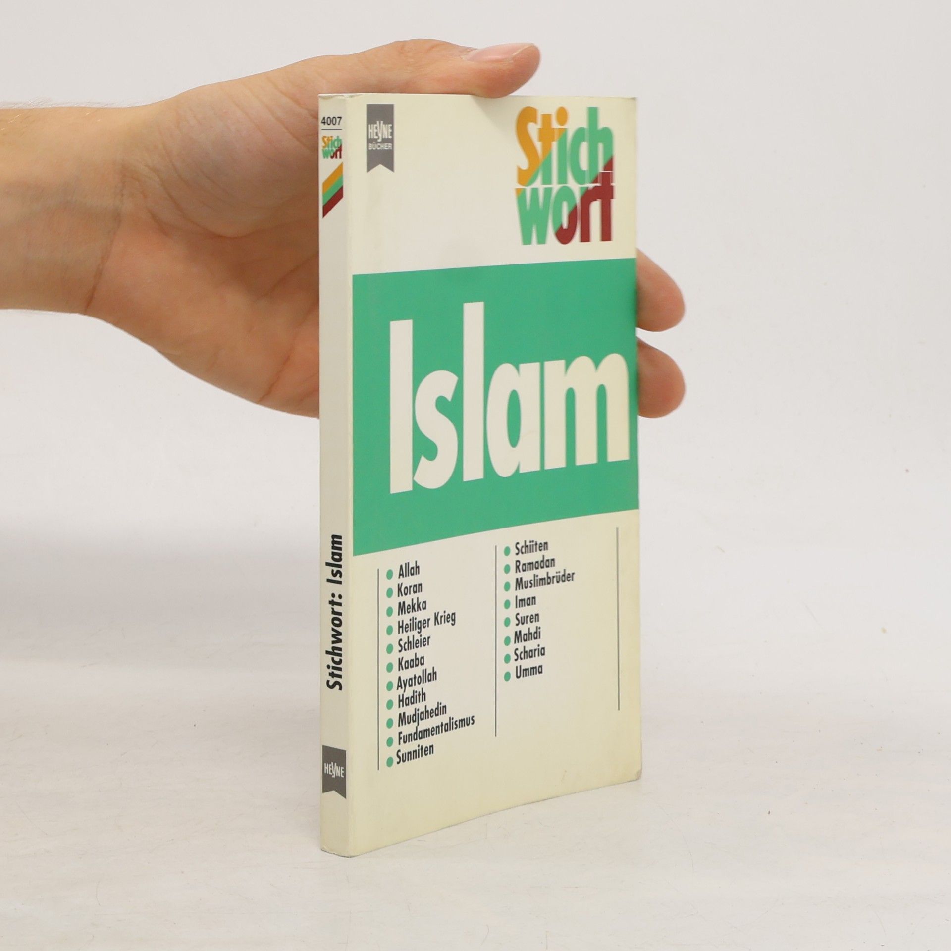 Stefan Braun Stichwort Islam