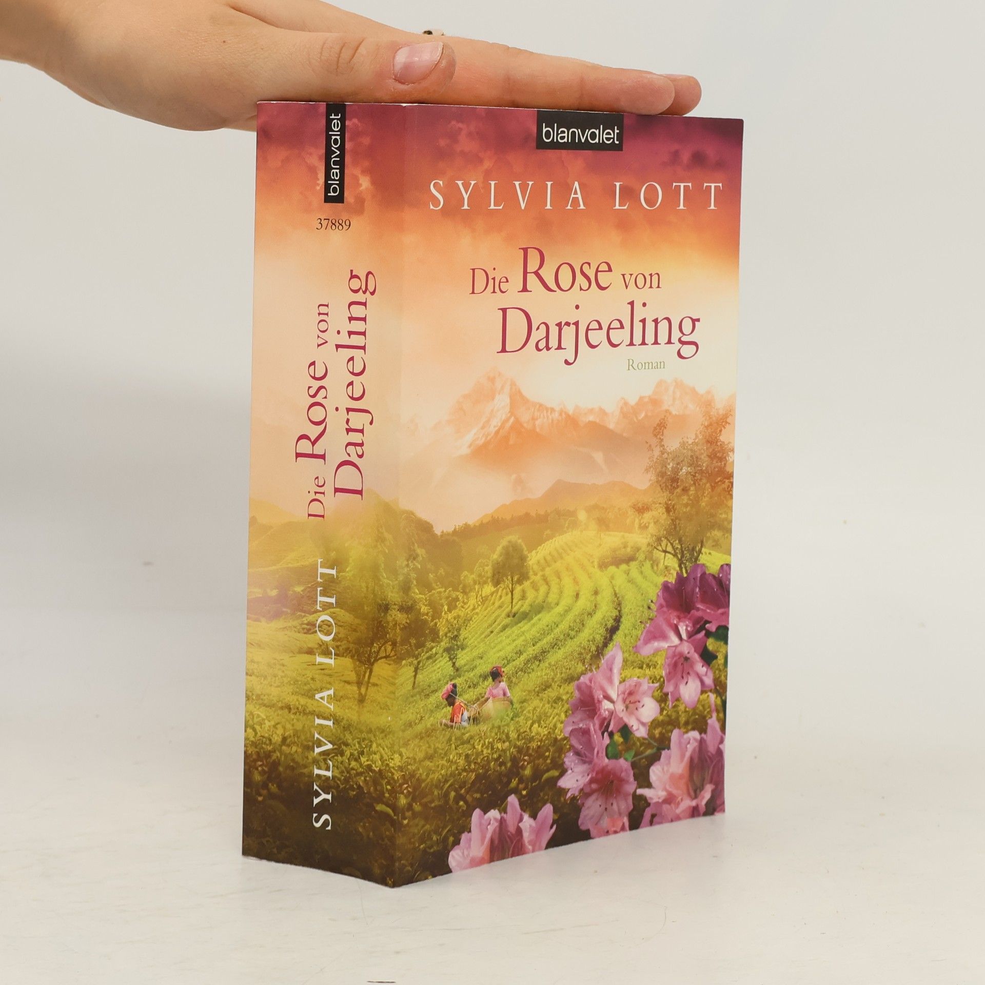 Sylvia Lott Die Rose von Darjeeling