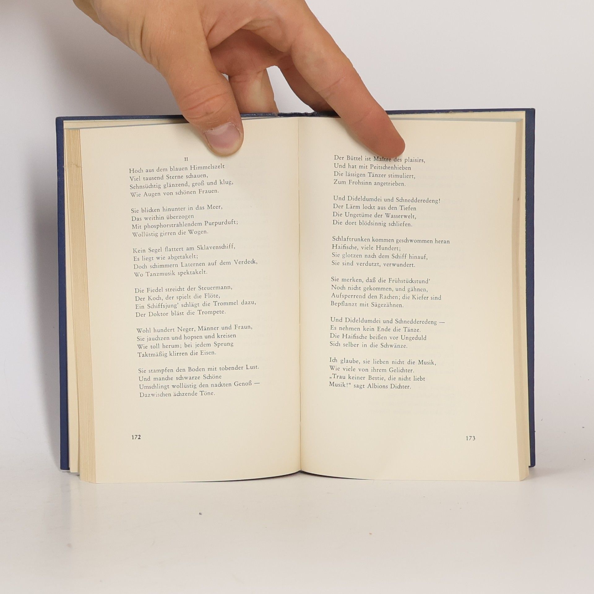 Heine Poesie und Prosa
