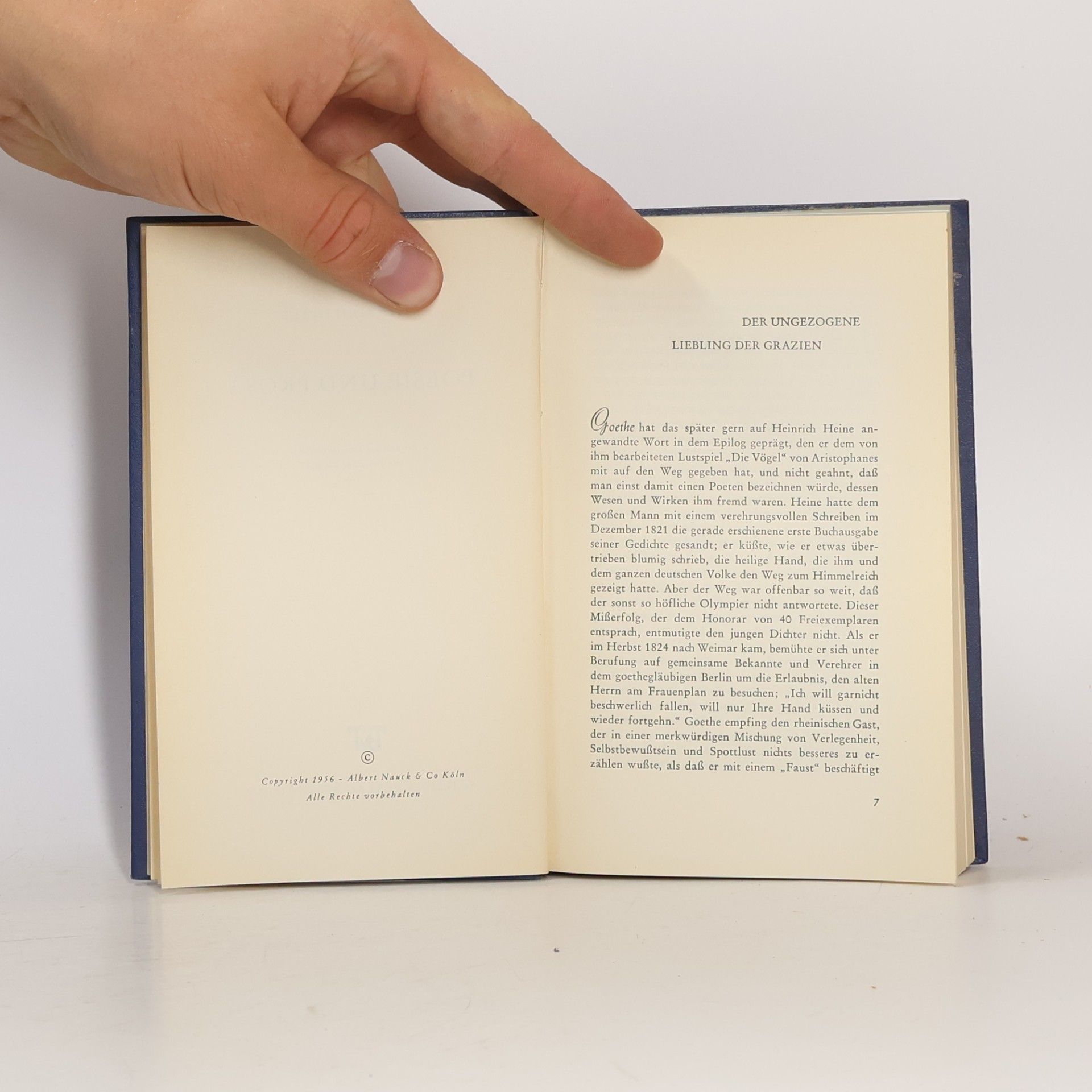 Heine Poesie und Prosa