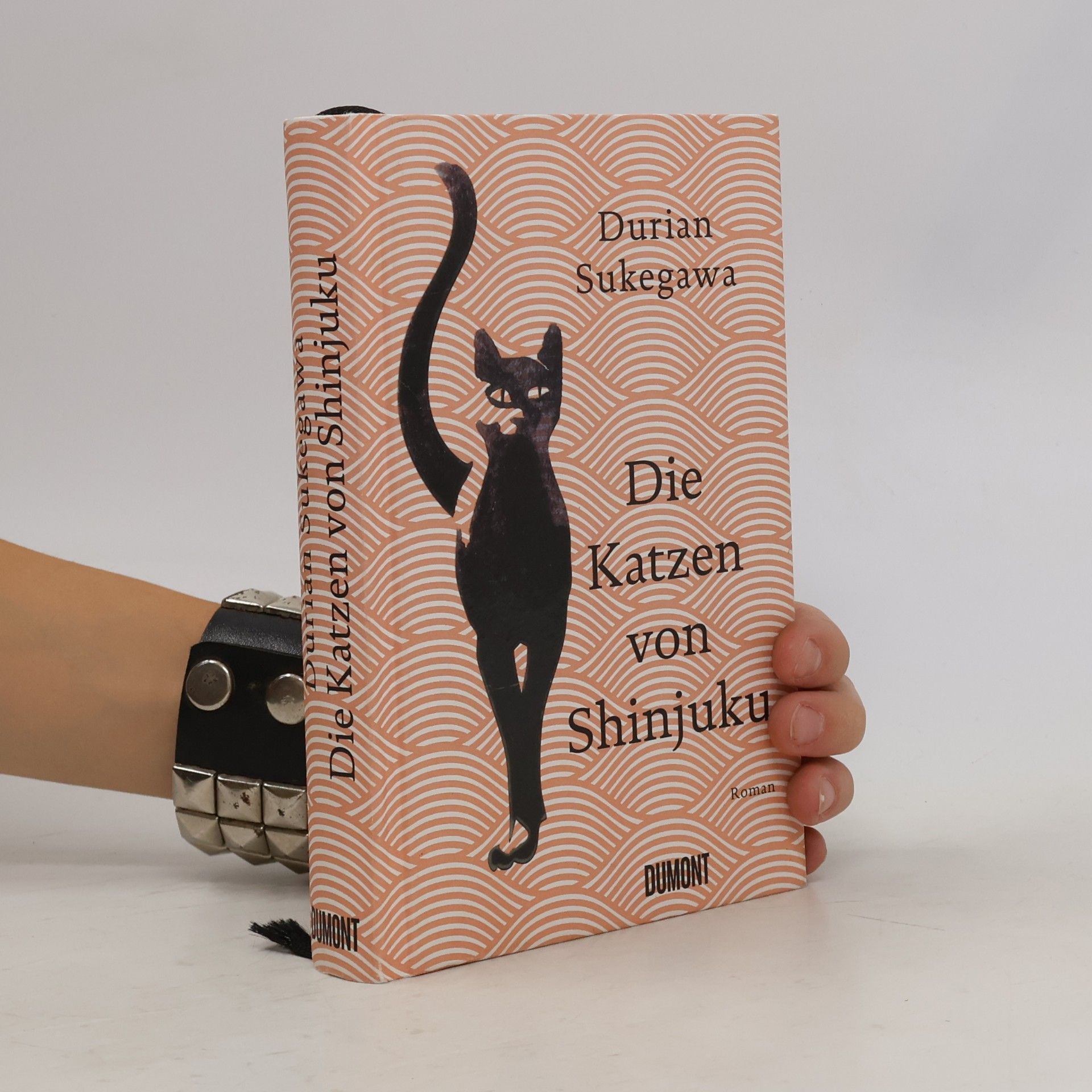 Durian Sukegawa Die Katzen von Shinjuku
