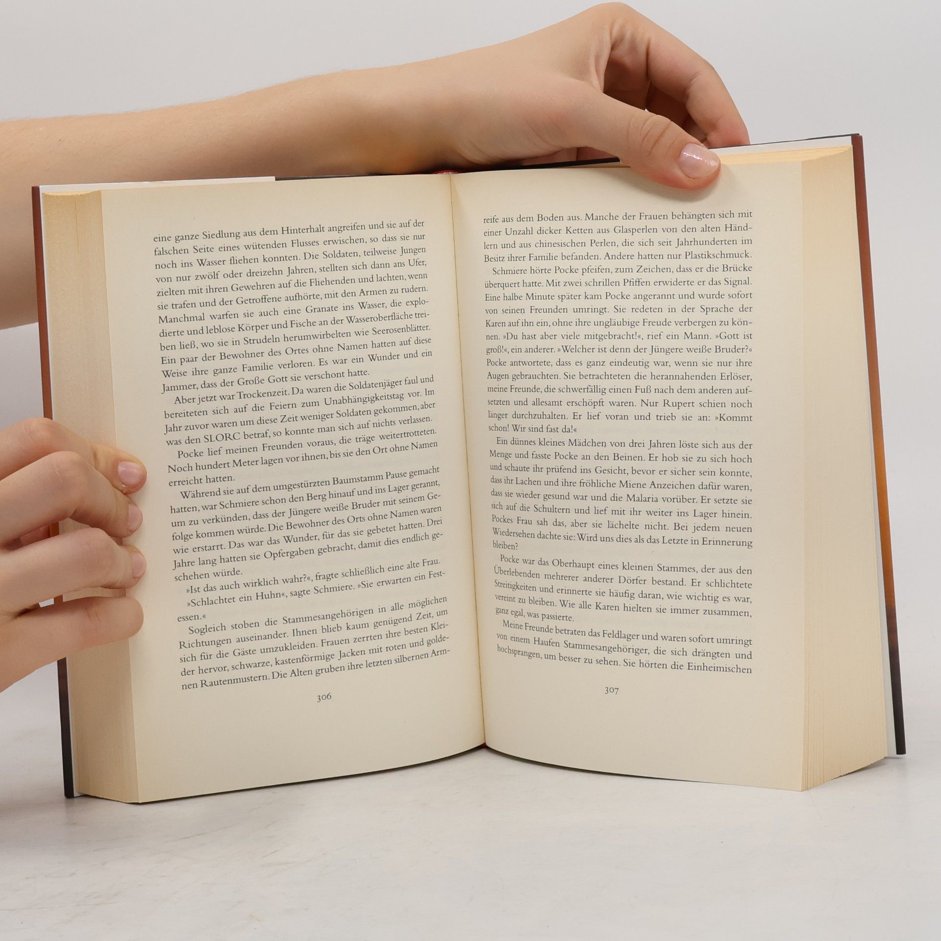 Amy Tan Der Geist der Madame Chen