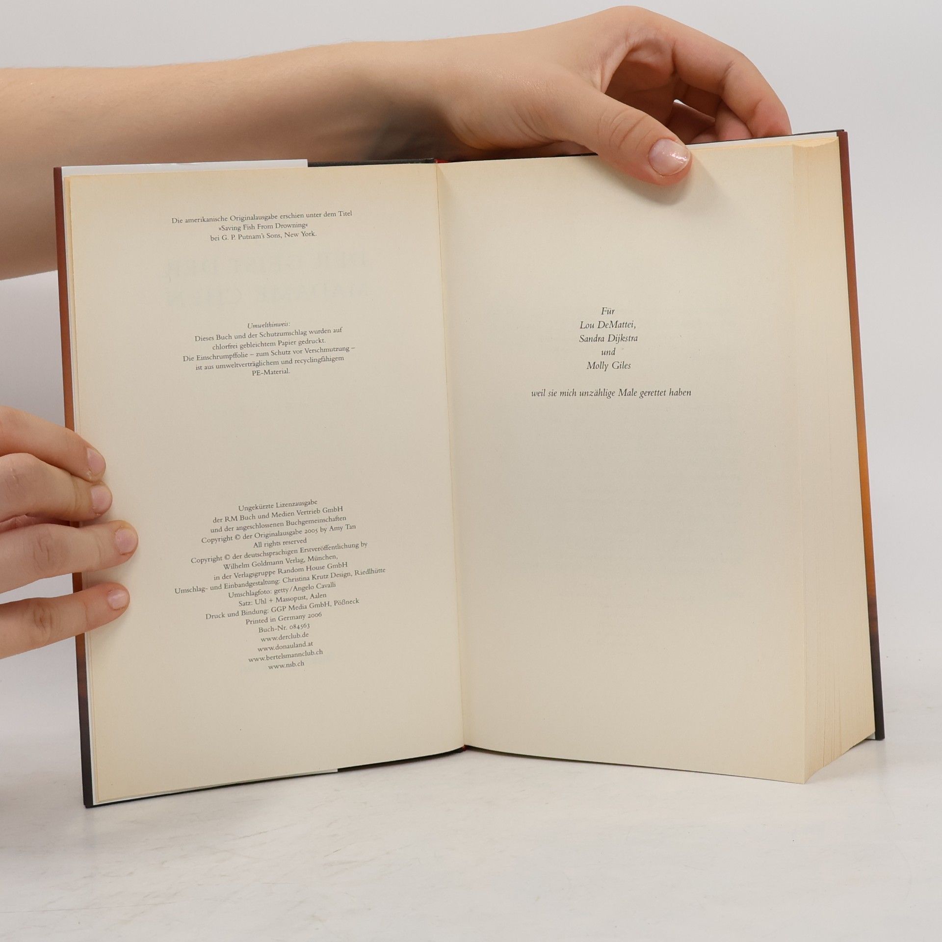 Amy Tan Der Geist der Madame Chen