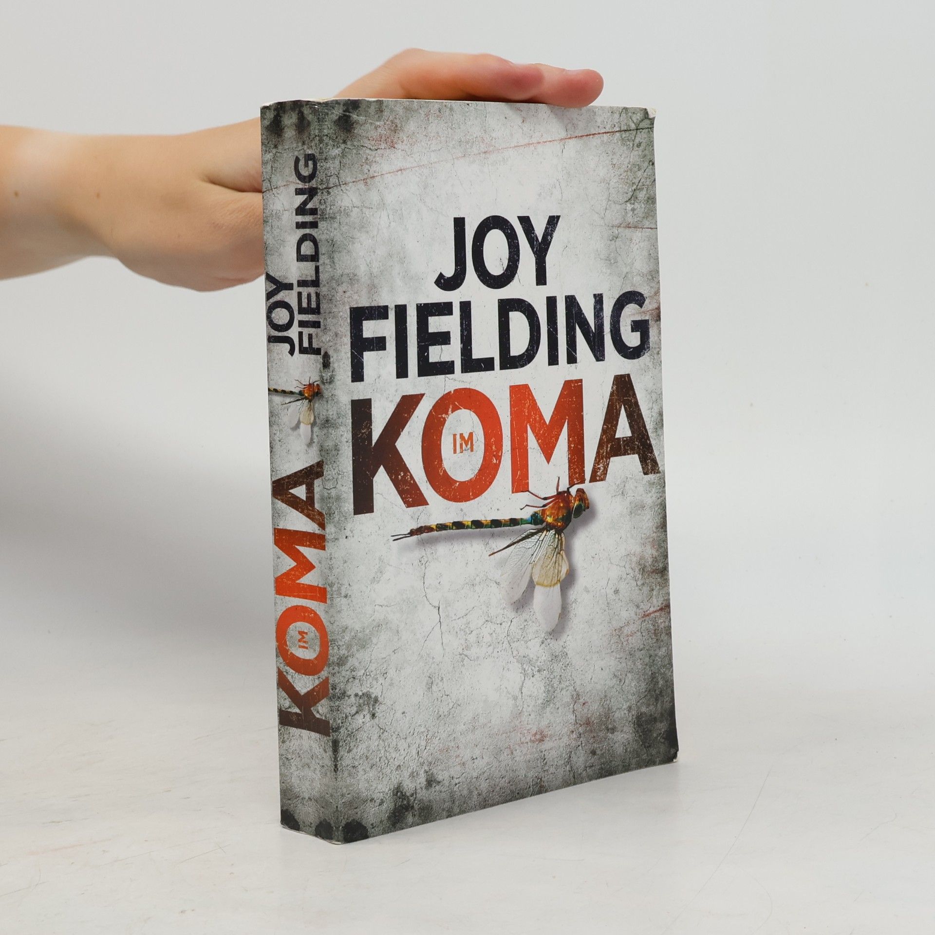 Joy Fielding Im Koma