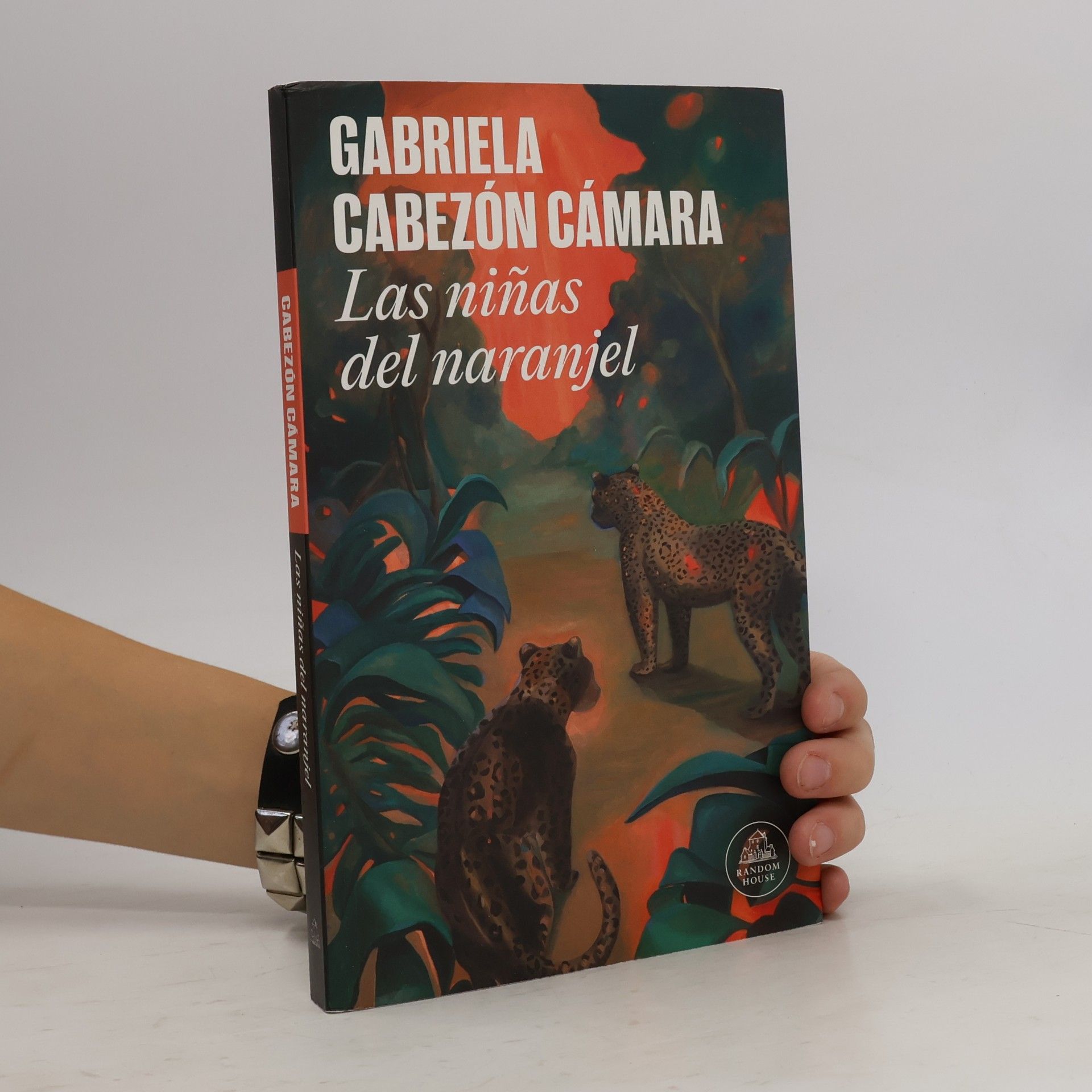 Gabriela Cabezón Cámara Las niñas del Naranjel