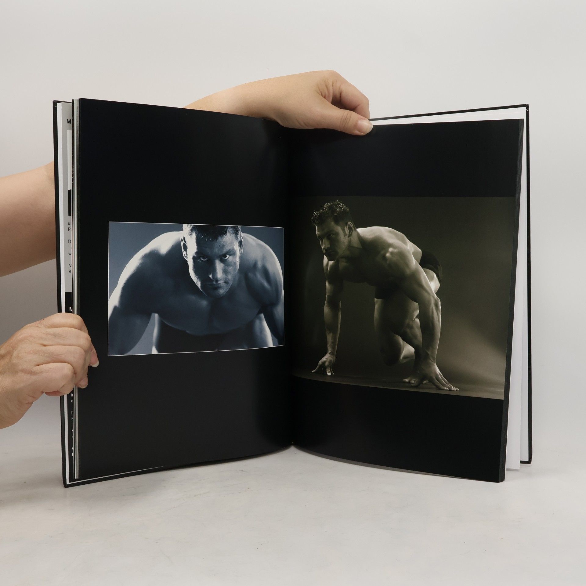 Michael H. Sinn Art and Sense