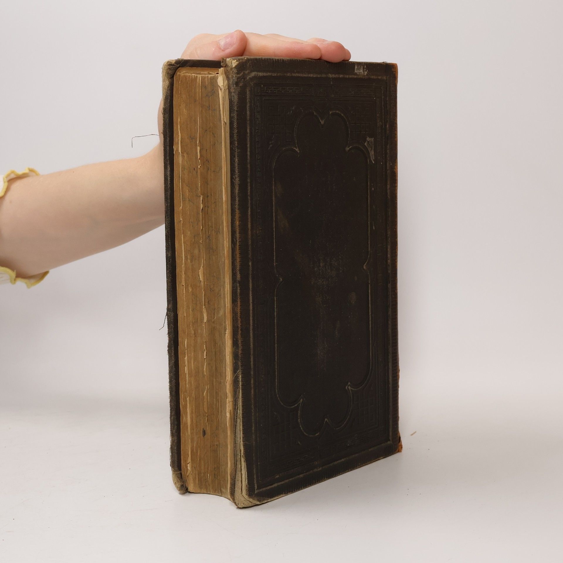 Autorenkollektiv Protestanten-Bibel