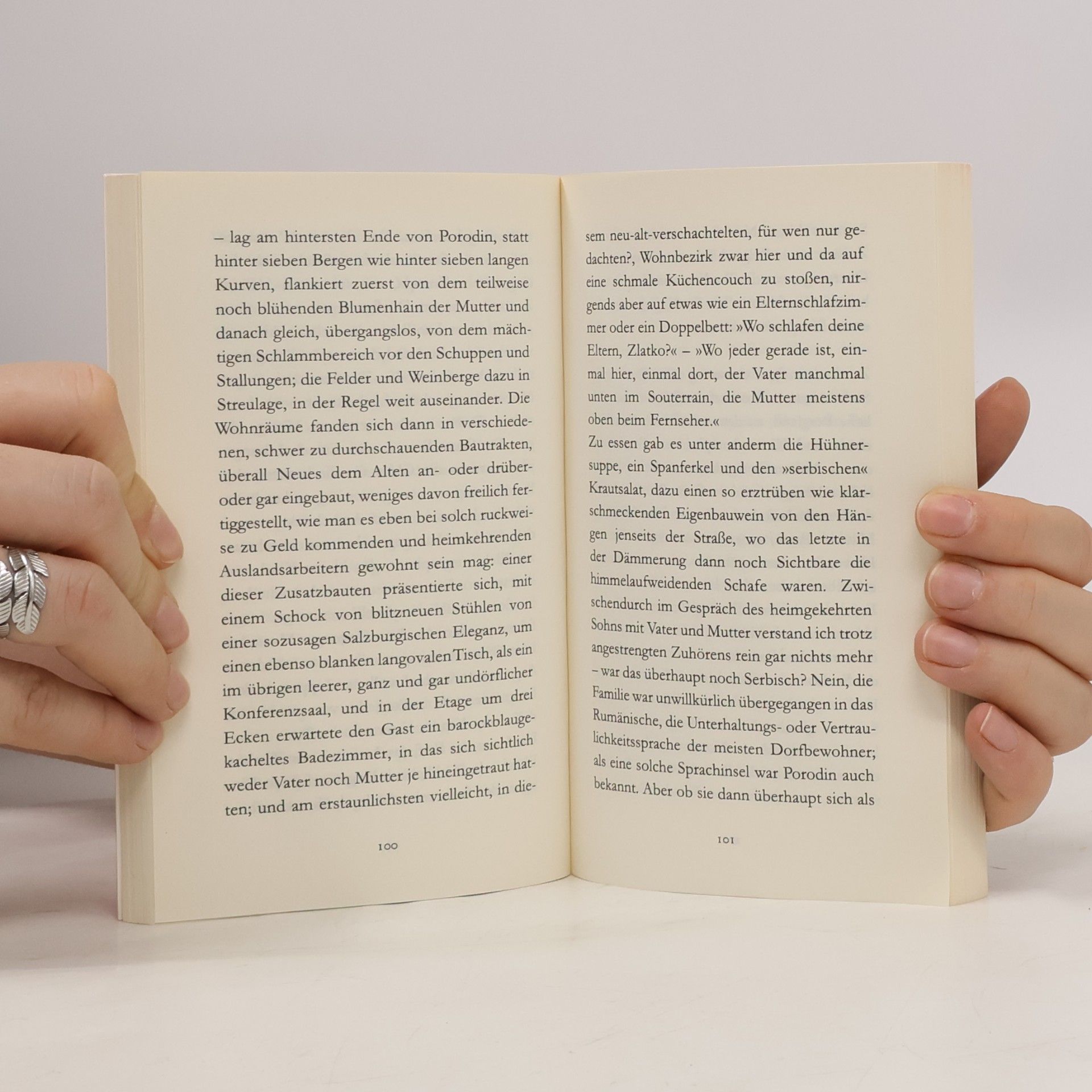 Peter Handke Abschied des Träumers vom neunten Land