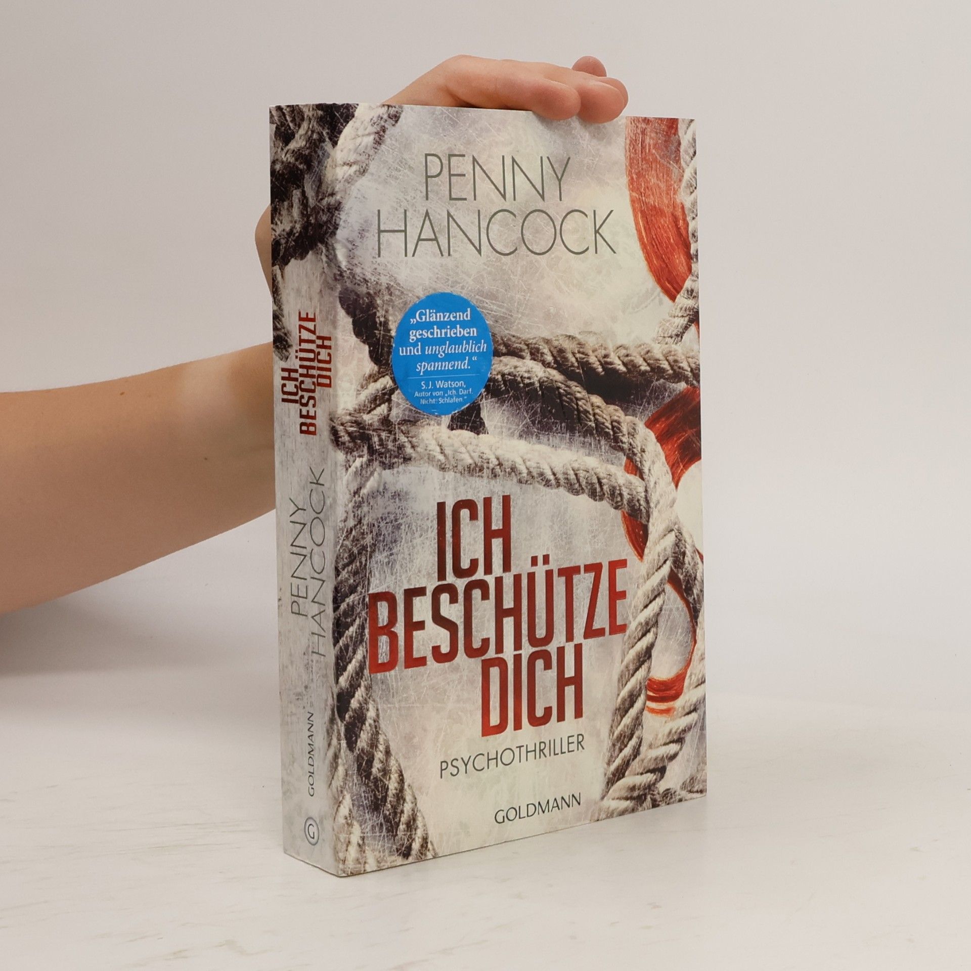 Penny Hancock Ich beschütze dich