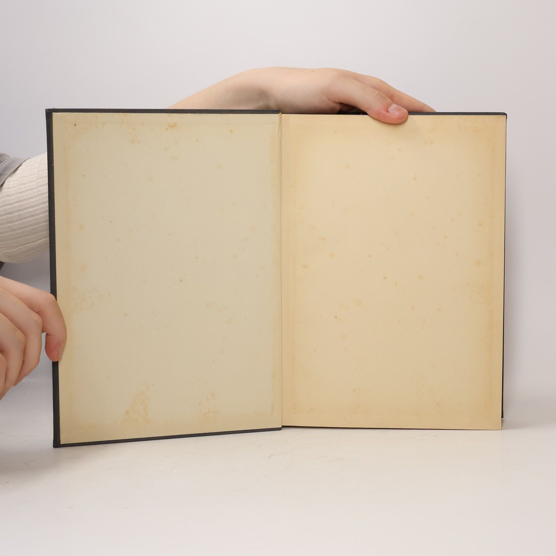 Karl Ludwig Zeyen Stahleisen-Bücher 6: Schweissen der Eisenwerkstoffe