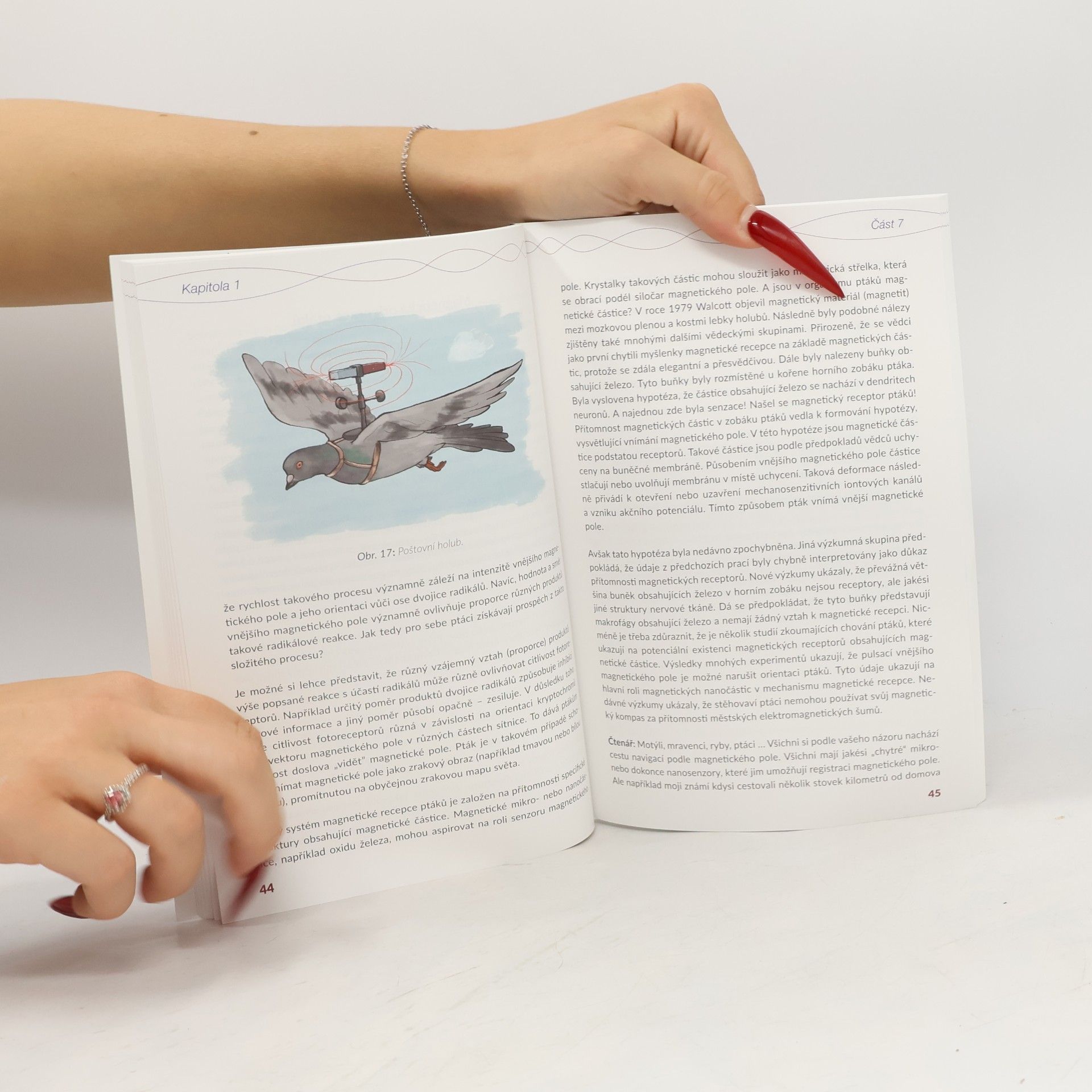 Autorenkollektiv Biologie a magnetismus. Vzájemná přitažlivost