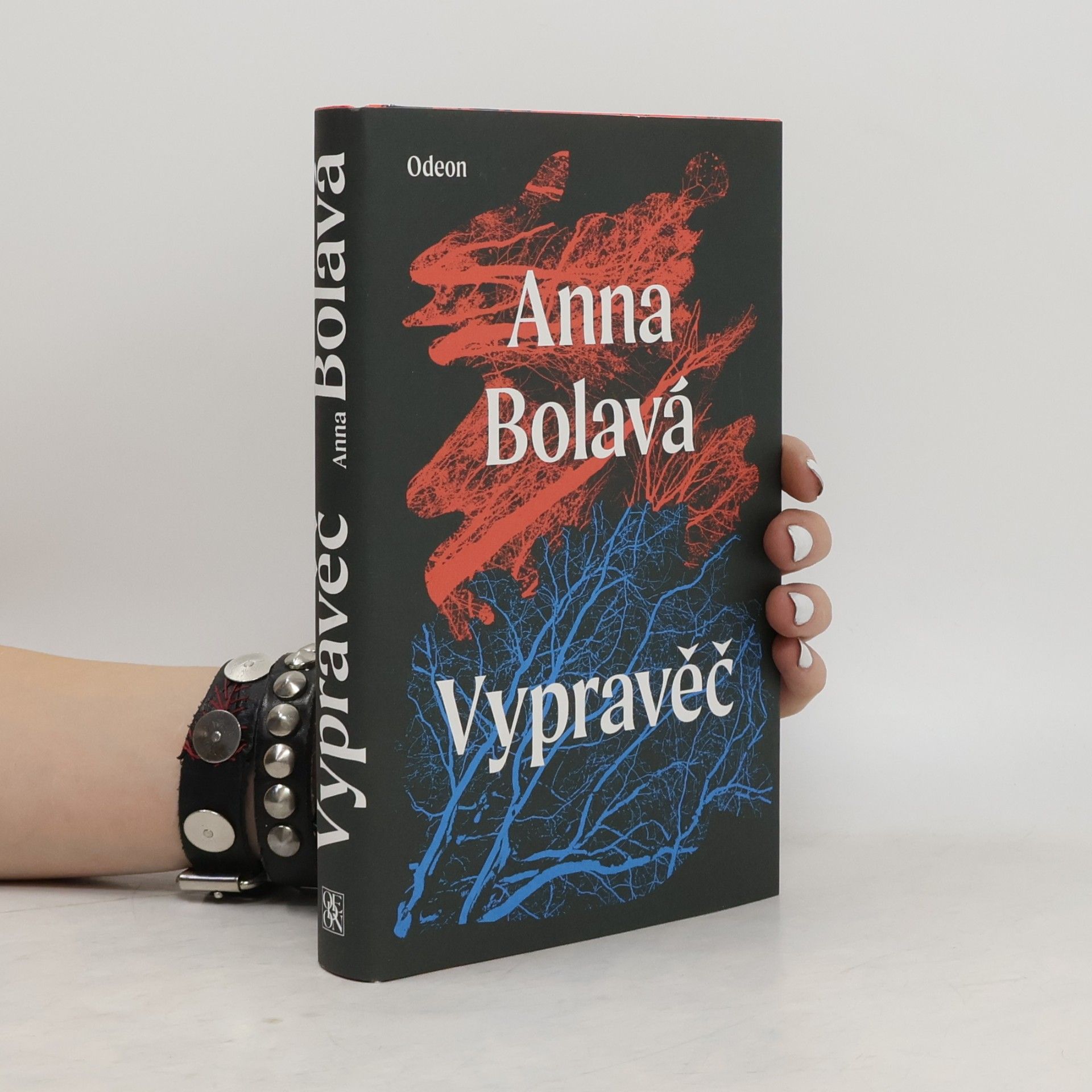 Anna Bolavá Vypravěč