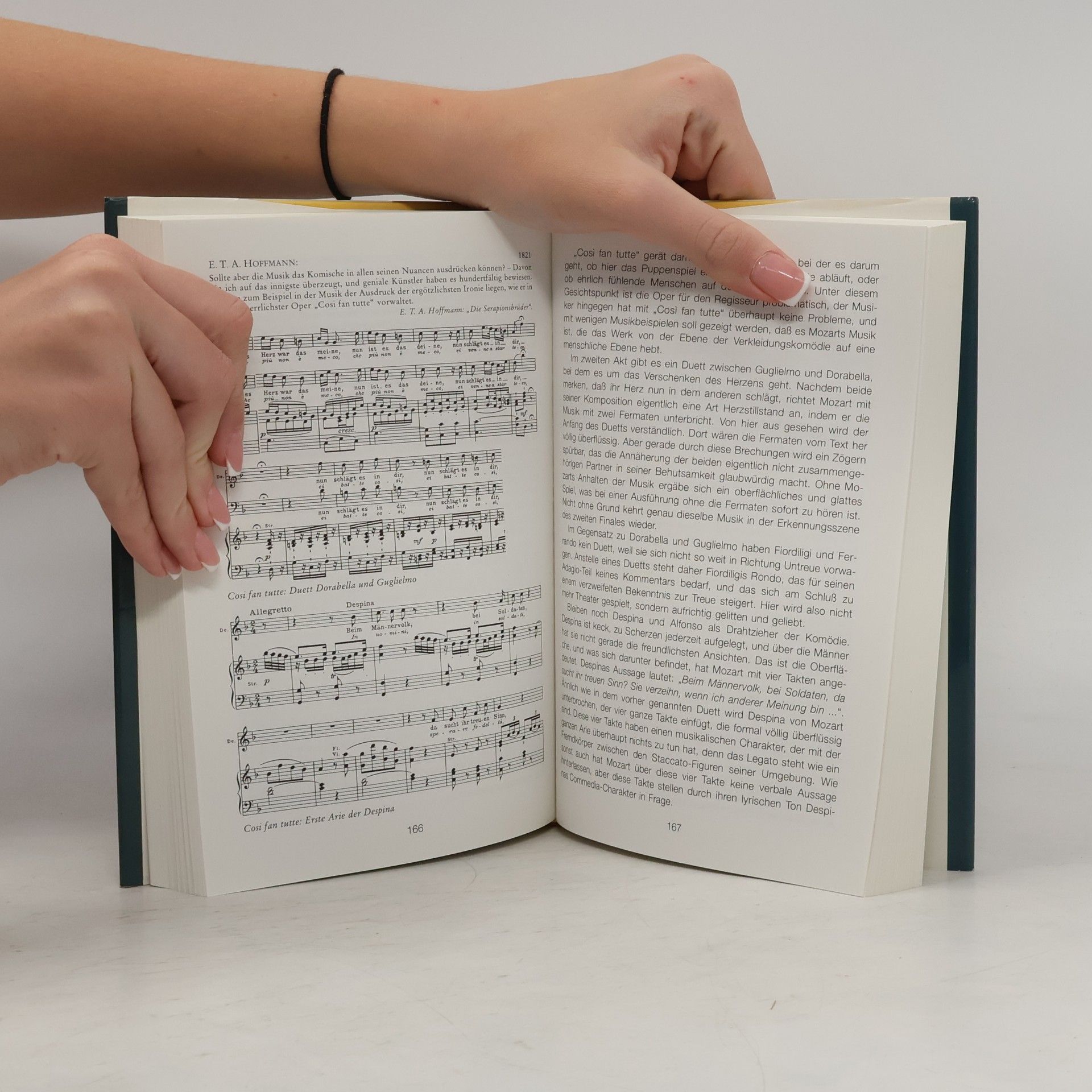 Hartmut Wendland Mozart hat nie gelebt ...