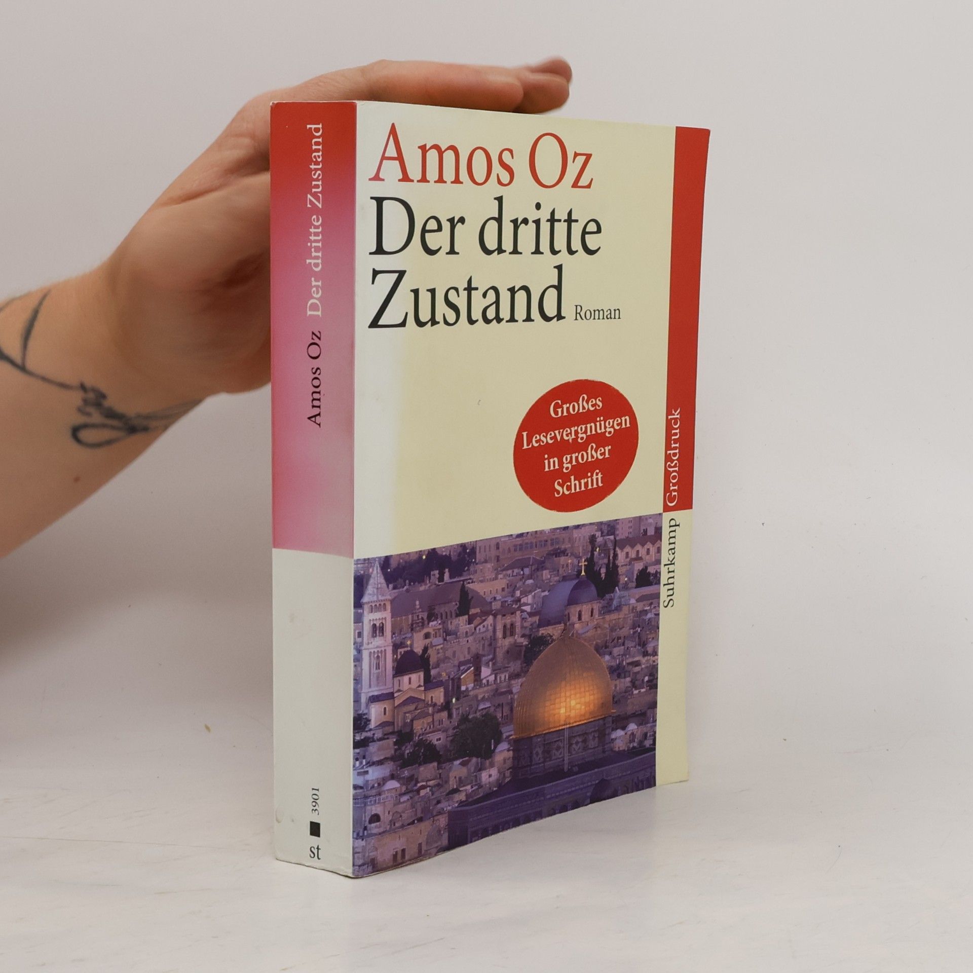 Amos Oz Suhrkamp Taschenbuch: Der dritte Zustand