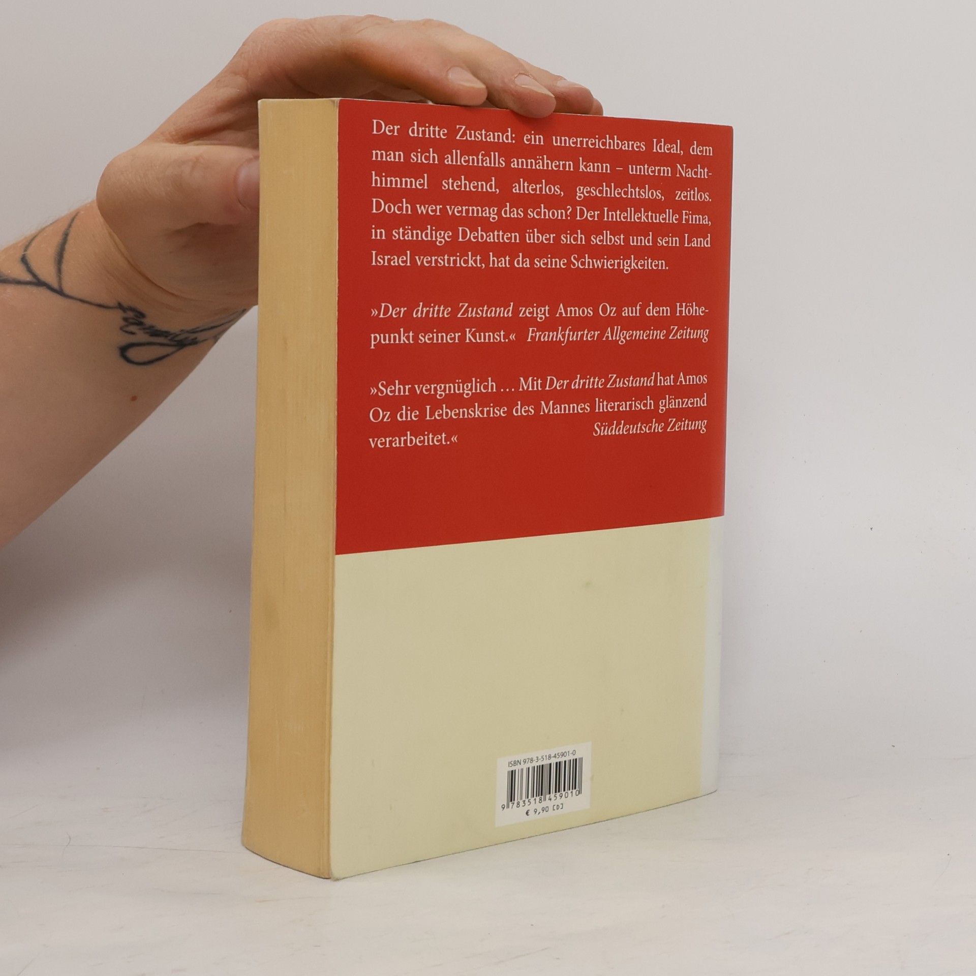 Amos Oz Suhrkamp Taschenbuch: Der dritte Zustand