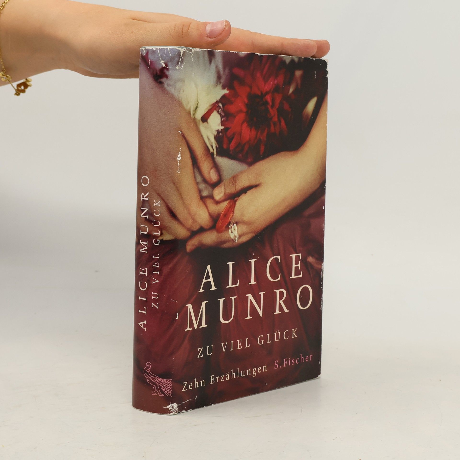 Alice Munro Zu viel Glück