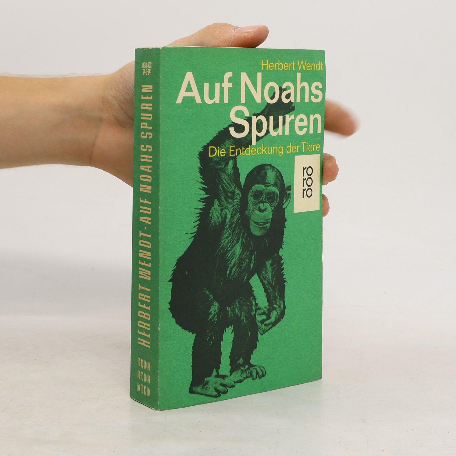 Auf Noahs Spuren