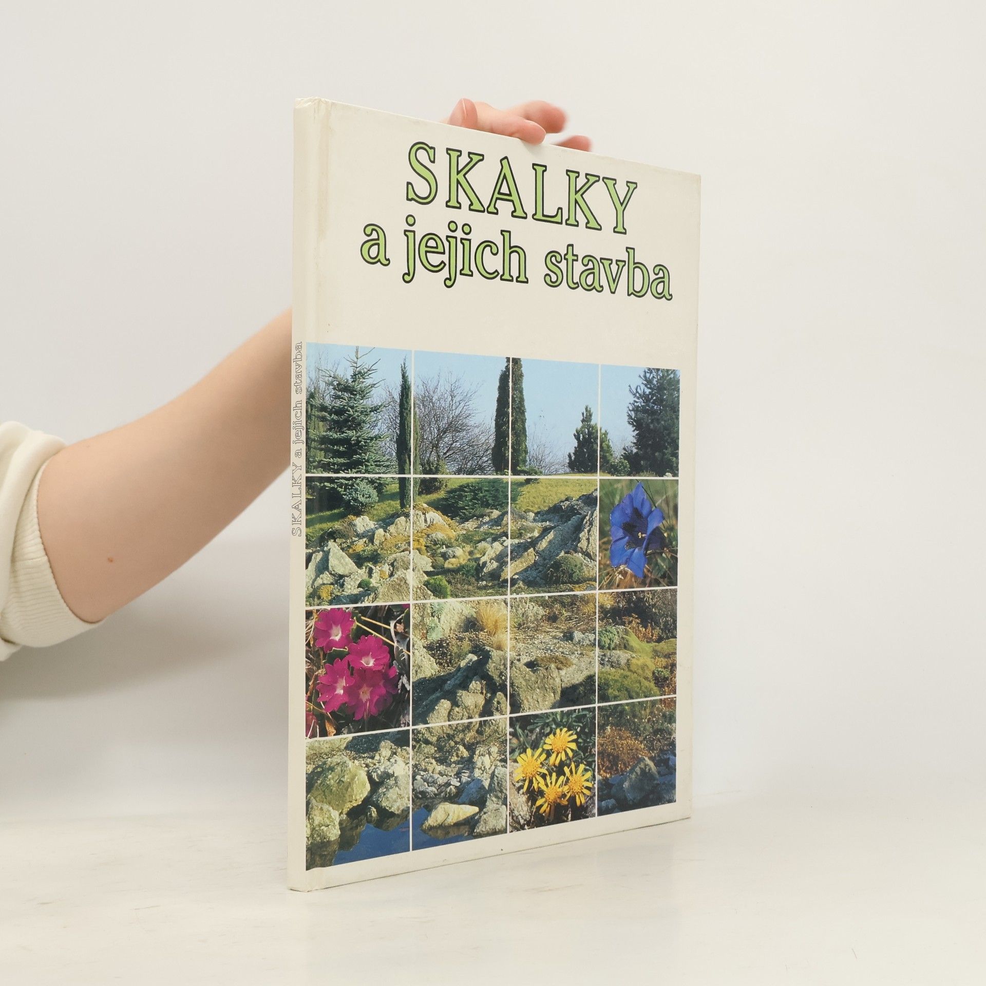 Ota Vlasák Skalky a jejich stavba
