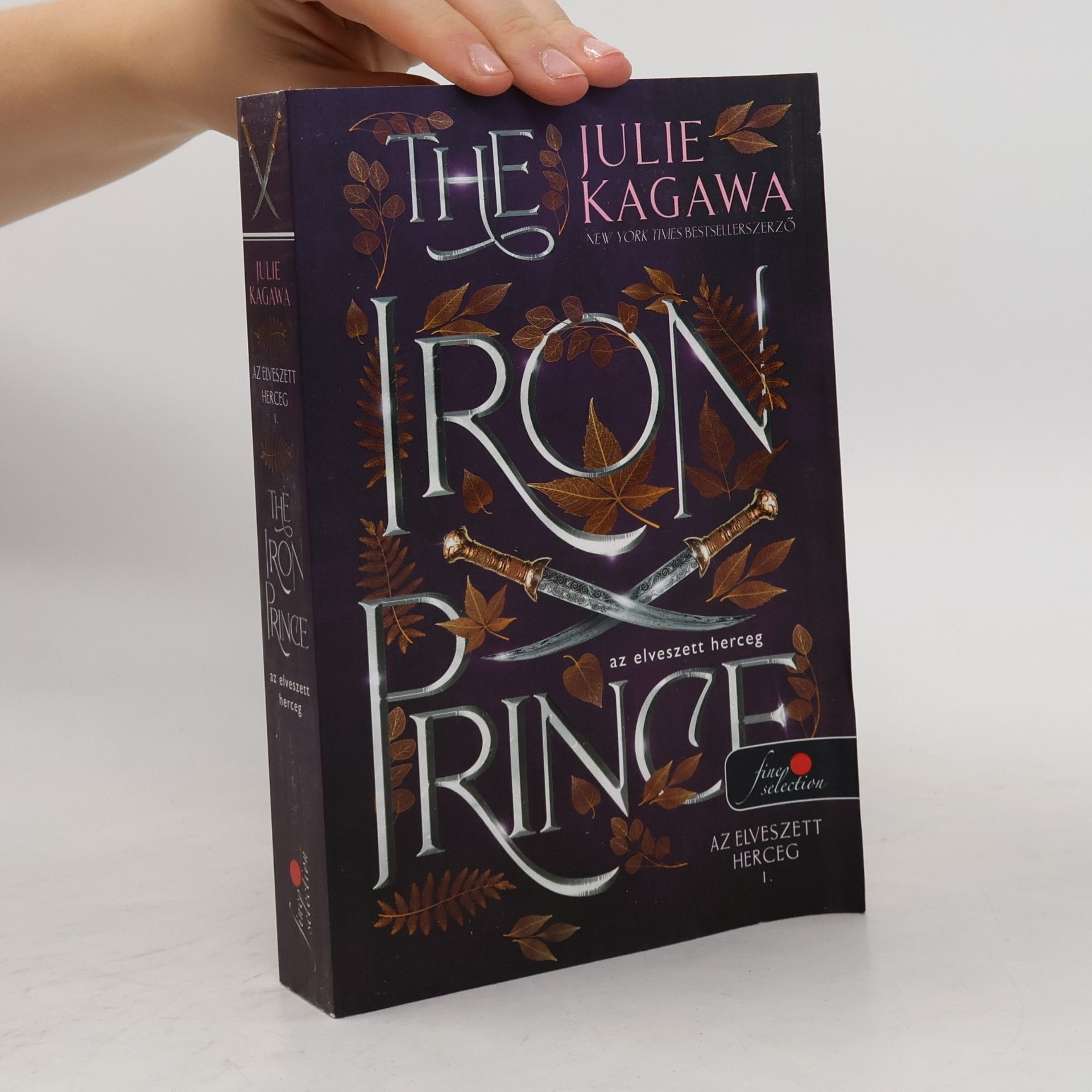 The Iron Prince 1
