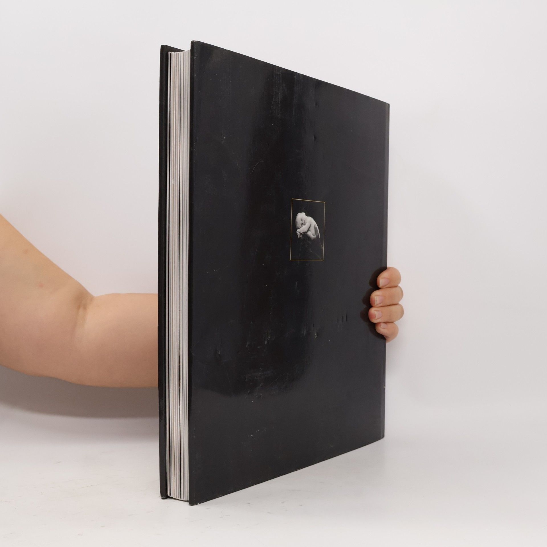 Anne Geddes Will Kommen!