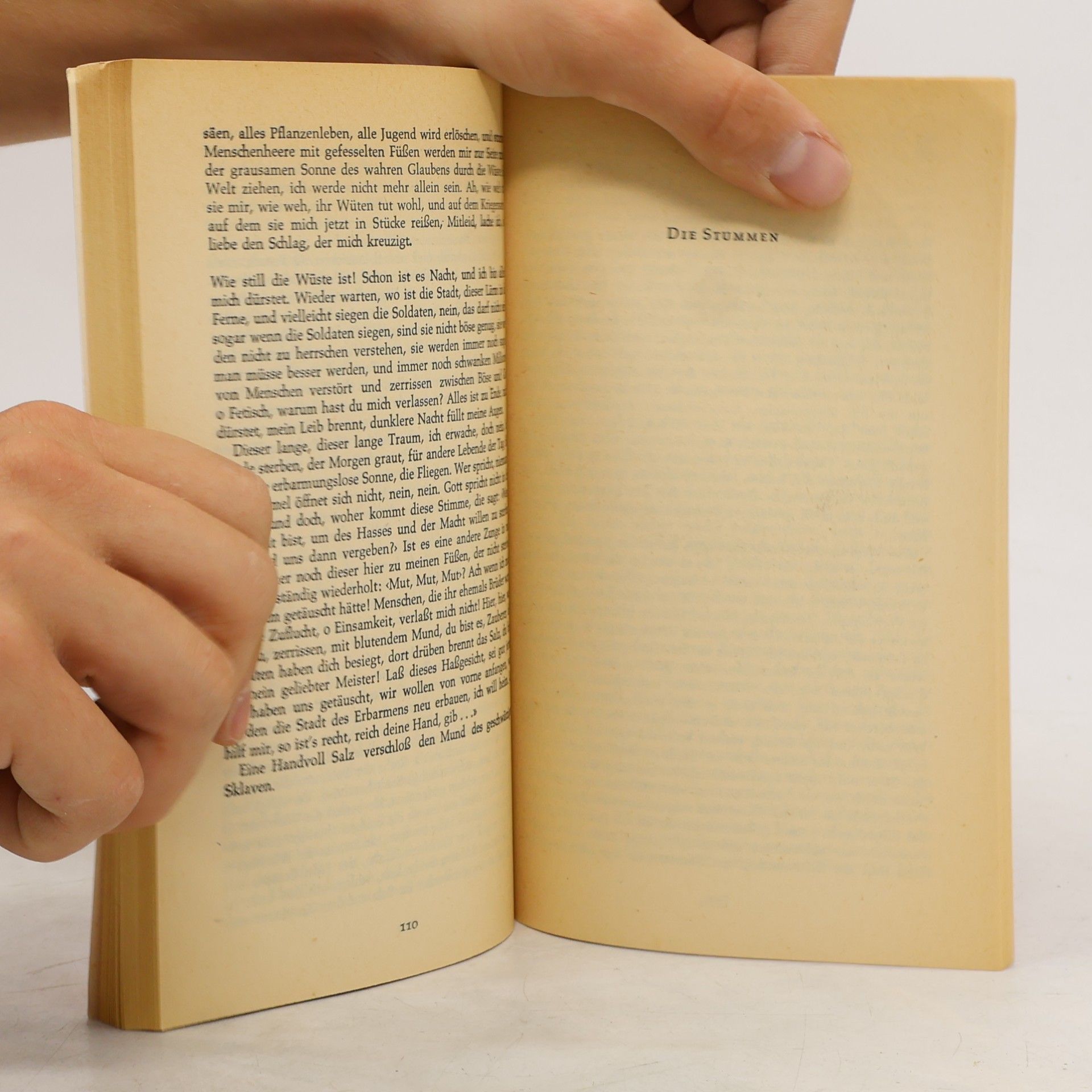 Albert Camus Kleine Prosa
