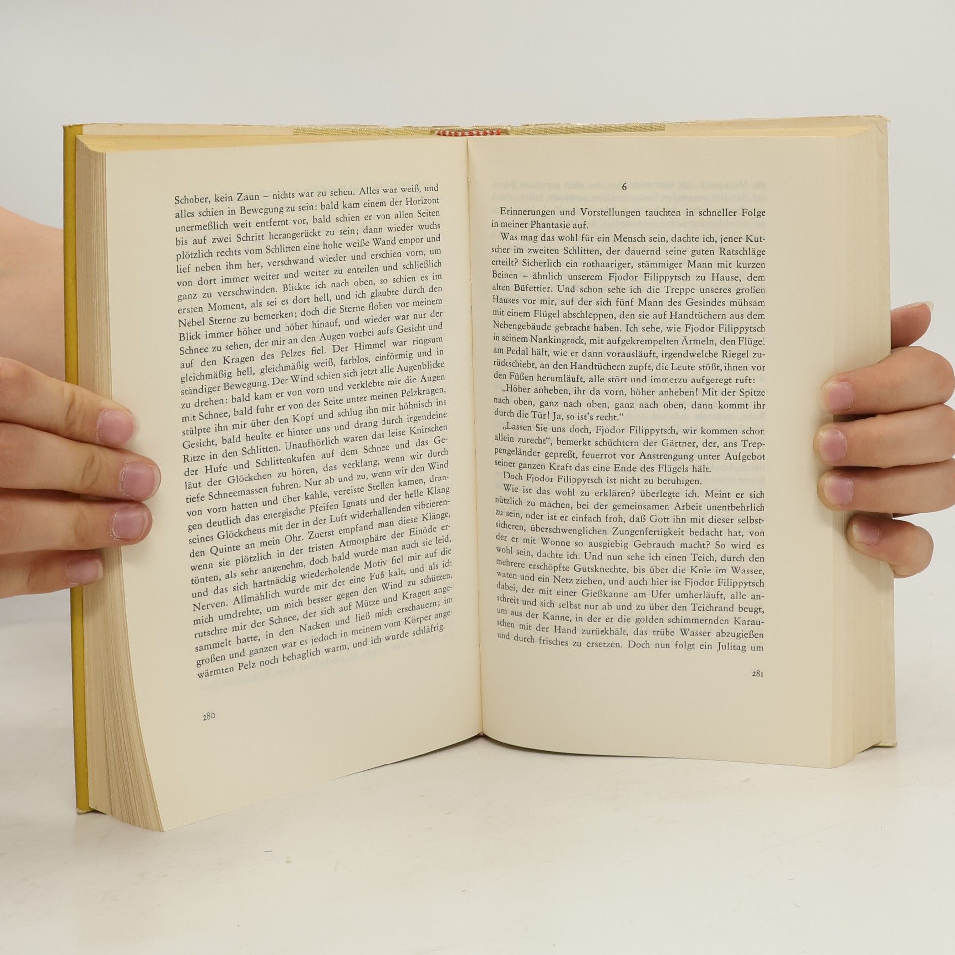 Lew Nikolajewitsch Tolstoi Der Morgen eines Gutsbesitzers