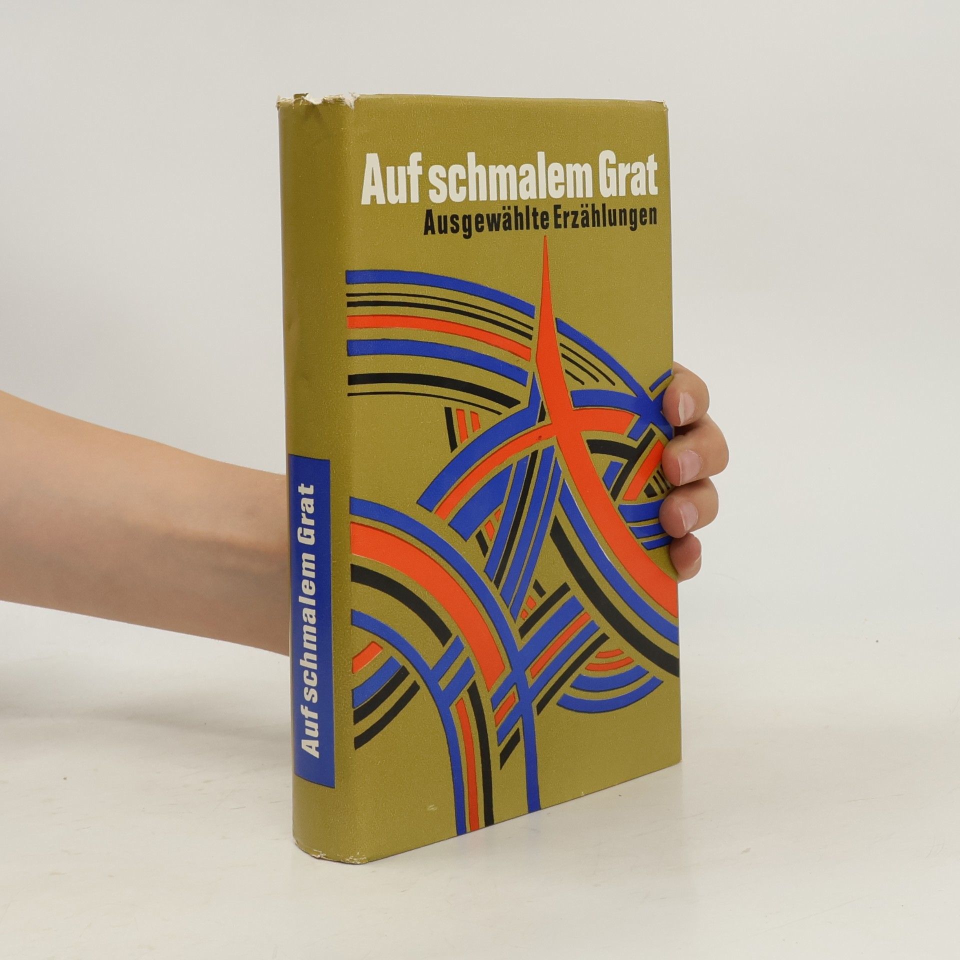 Autorenkollektiv Auf schmalem Grat